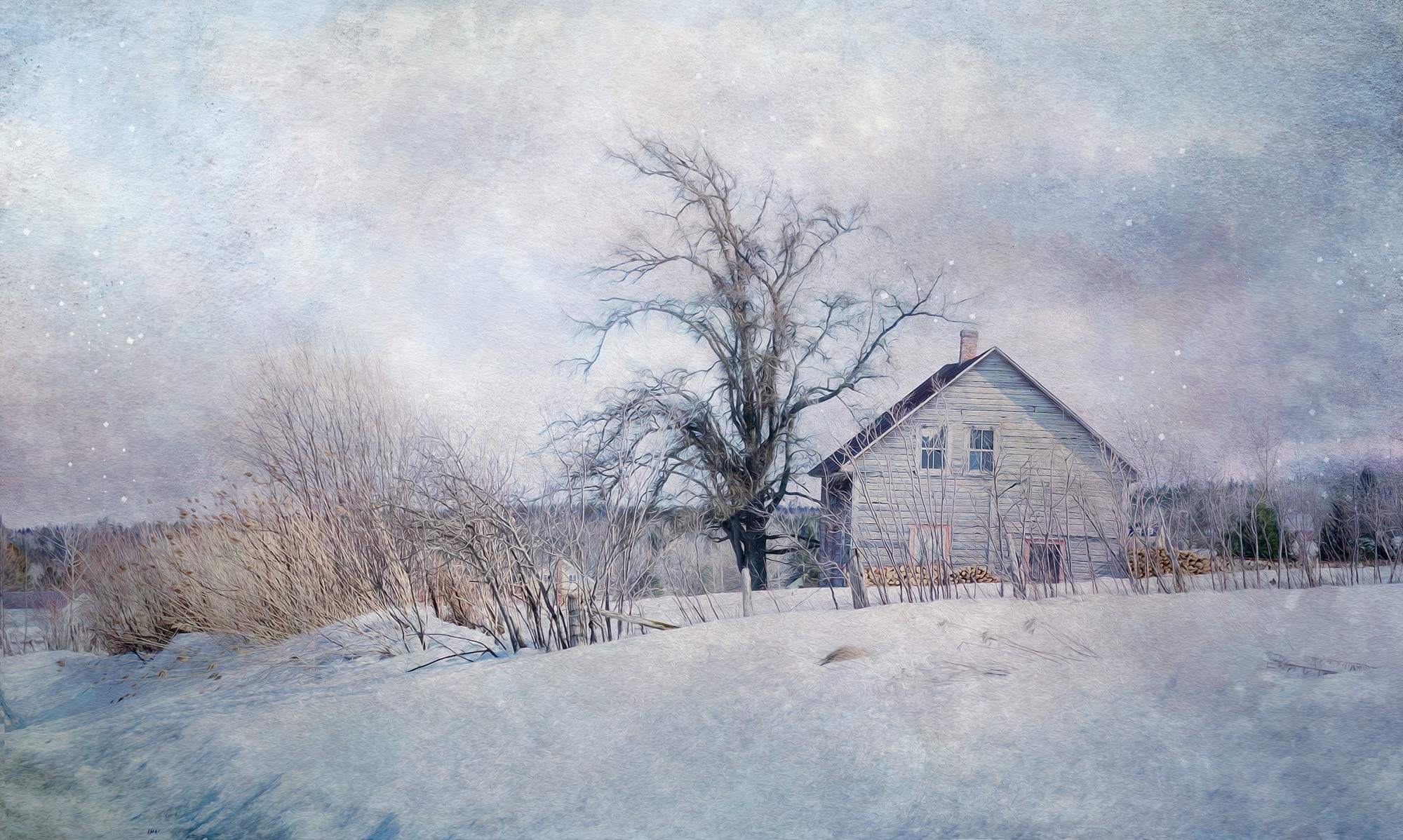 Winter scene with a house and bare trees HD Wallpaper