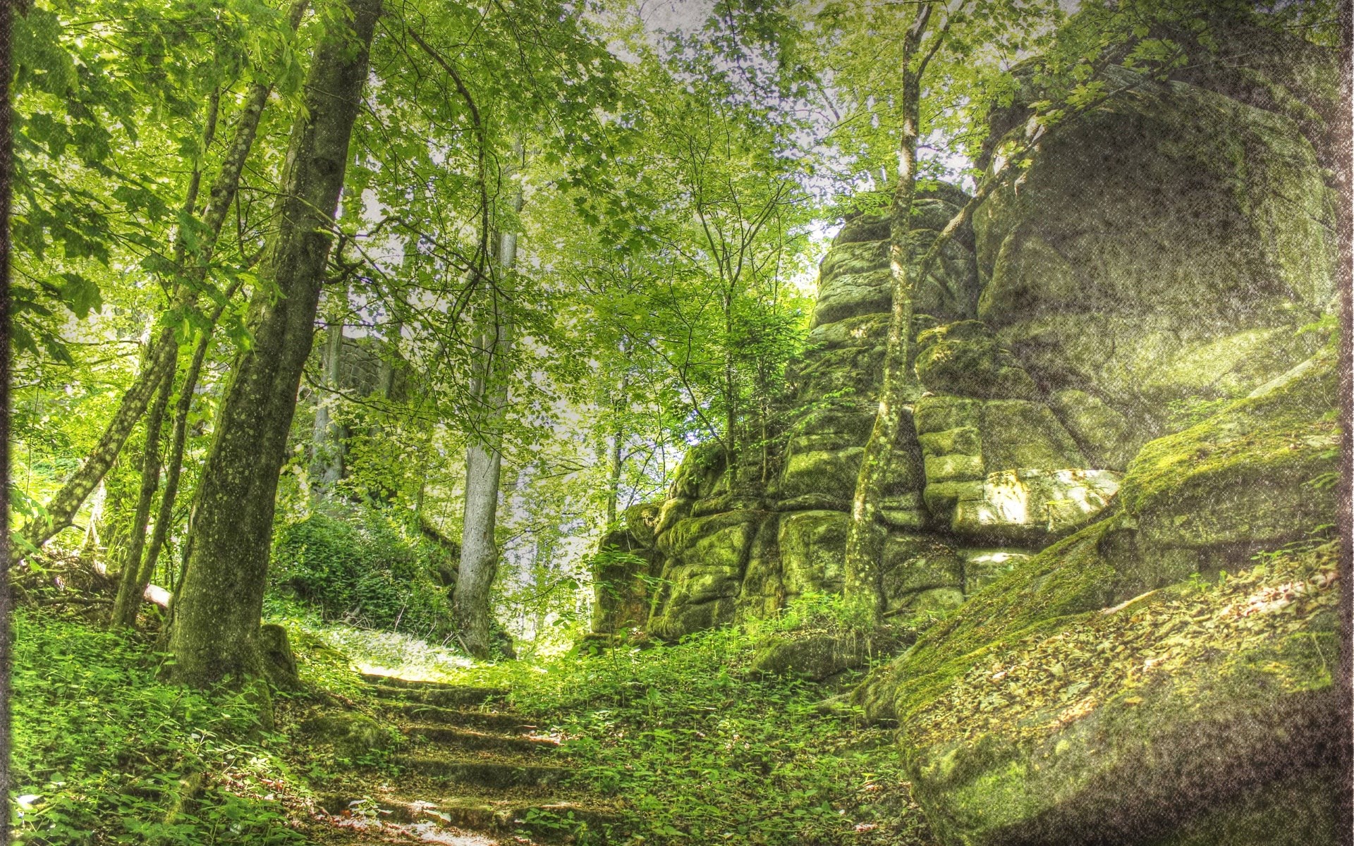 Stone steps leading through a mossy forest with large rocks HD Wallpaper