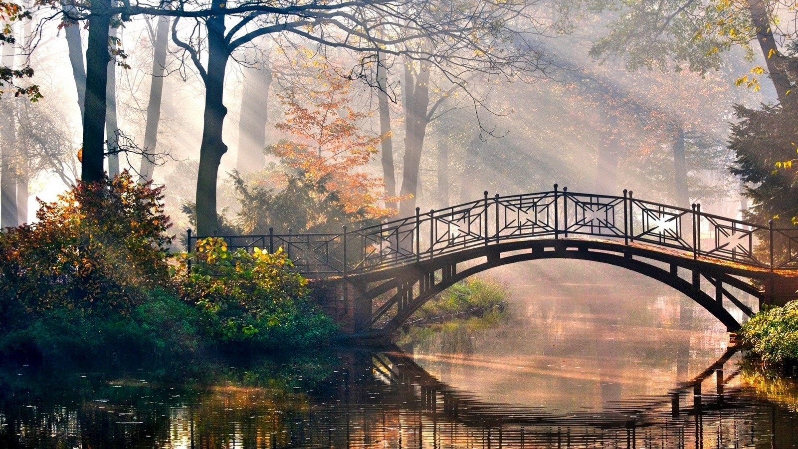 Bridge over a river in a park during fall morning HD Wallpaper