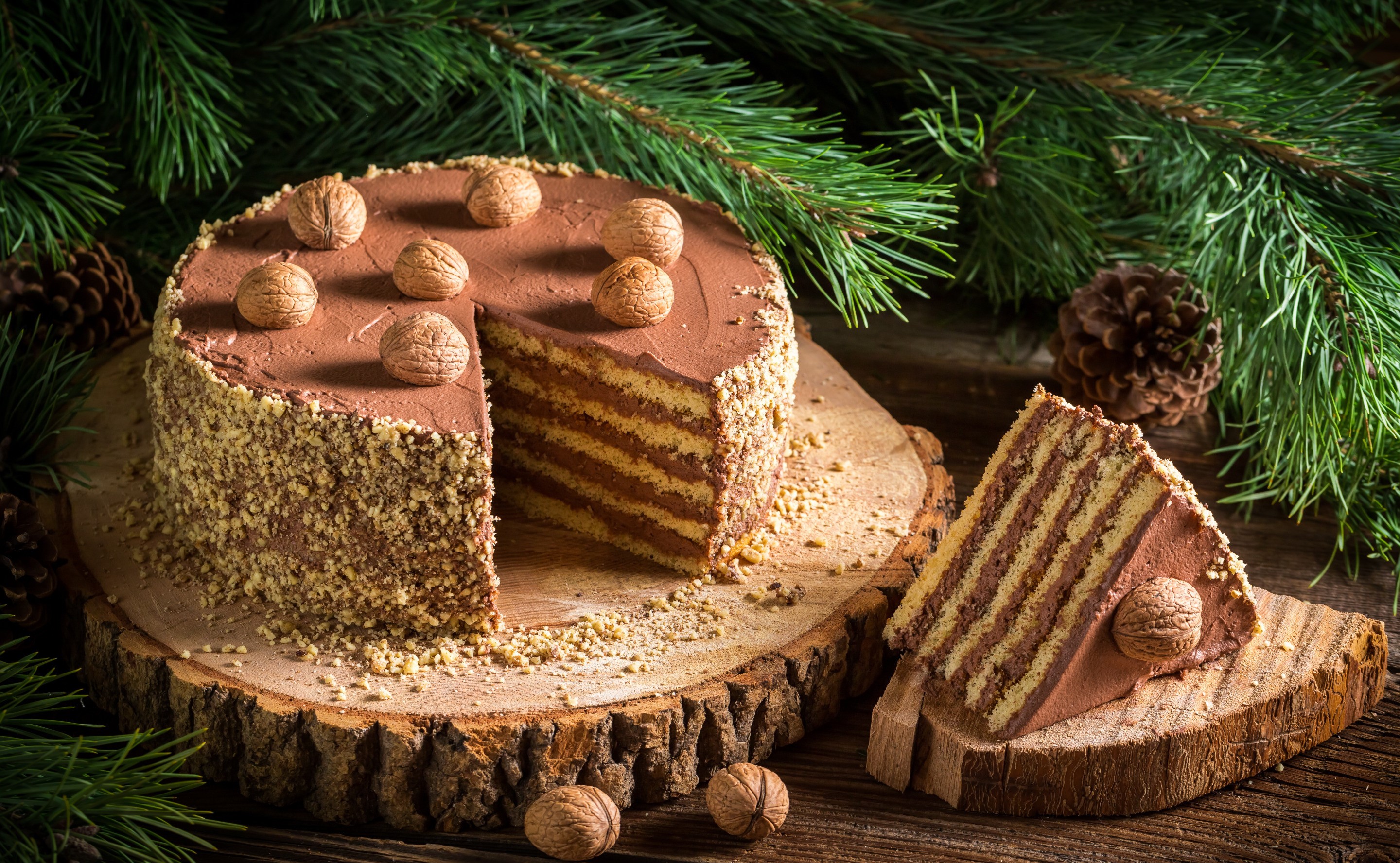 Chocolate layered cake with walnuts and pine branches HD Wallpaper
