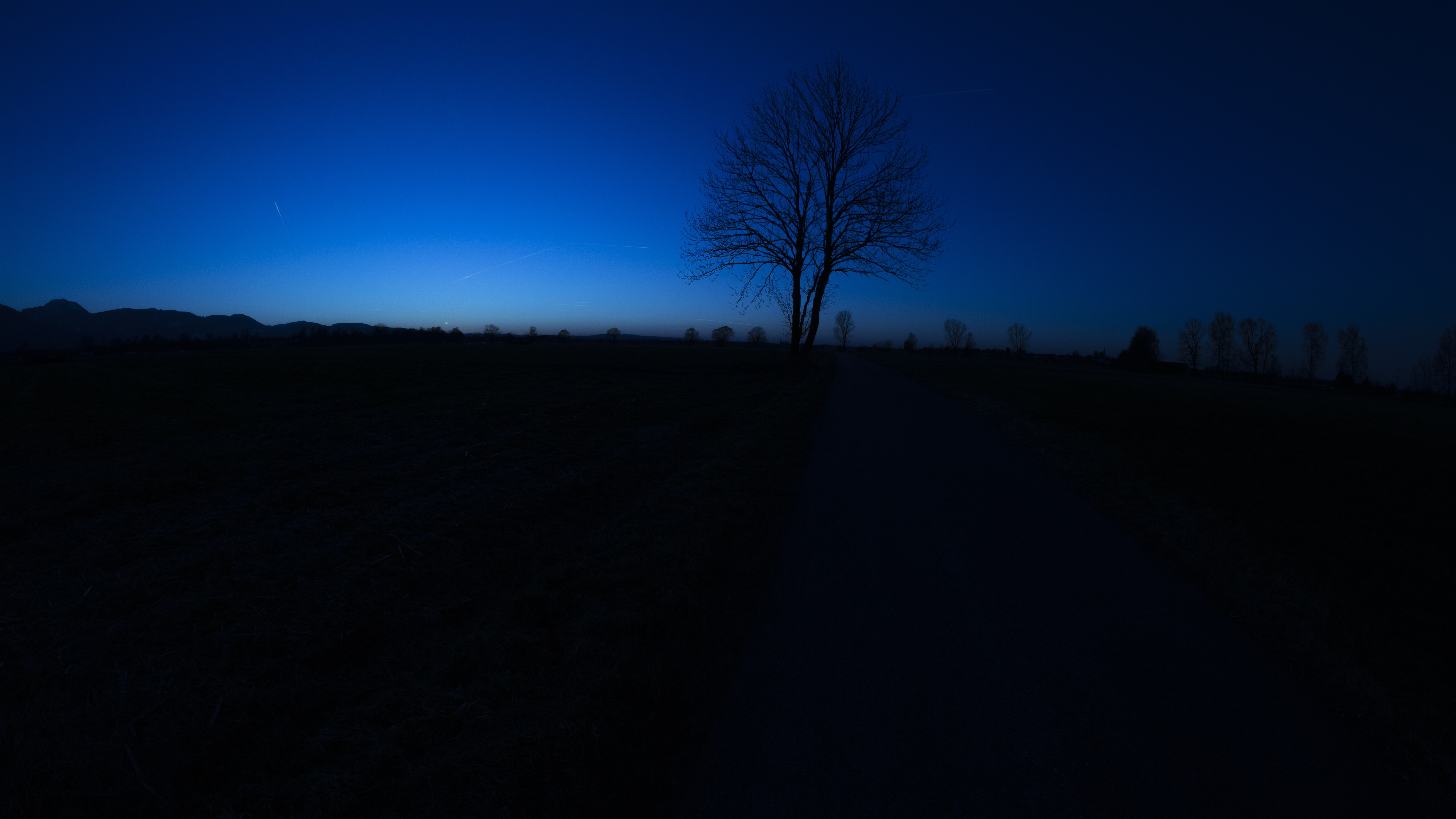 Dark landscape with a lone tree at dusk HD Wallpaper