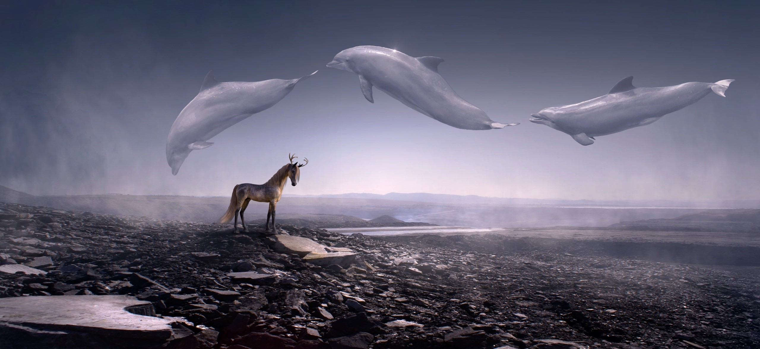 Fantasy art of dolphins and a horse in a landscape HD Wallpaper