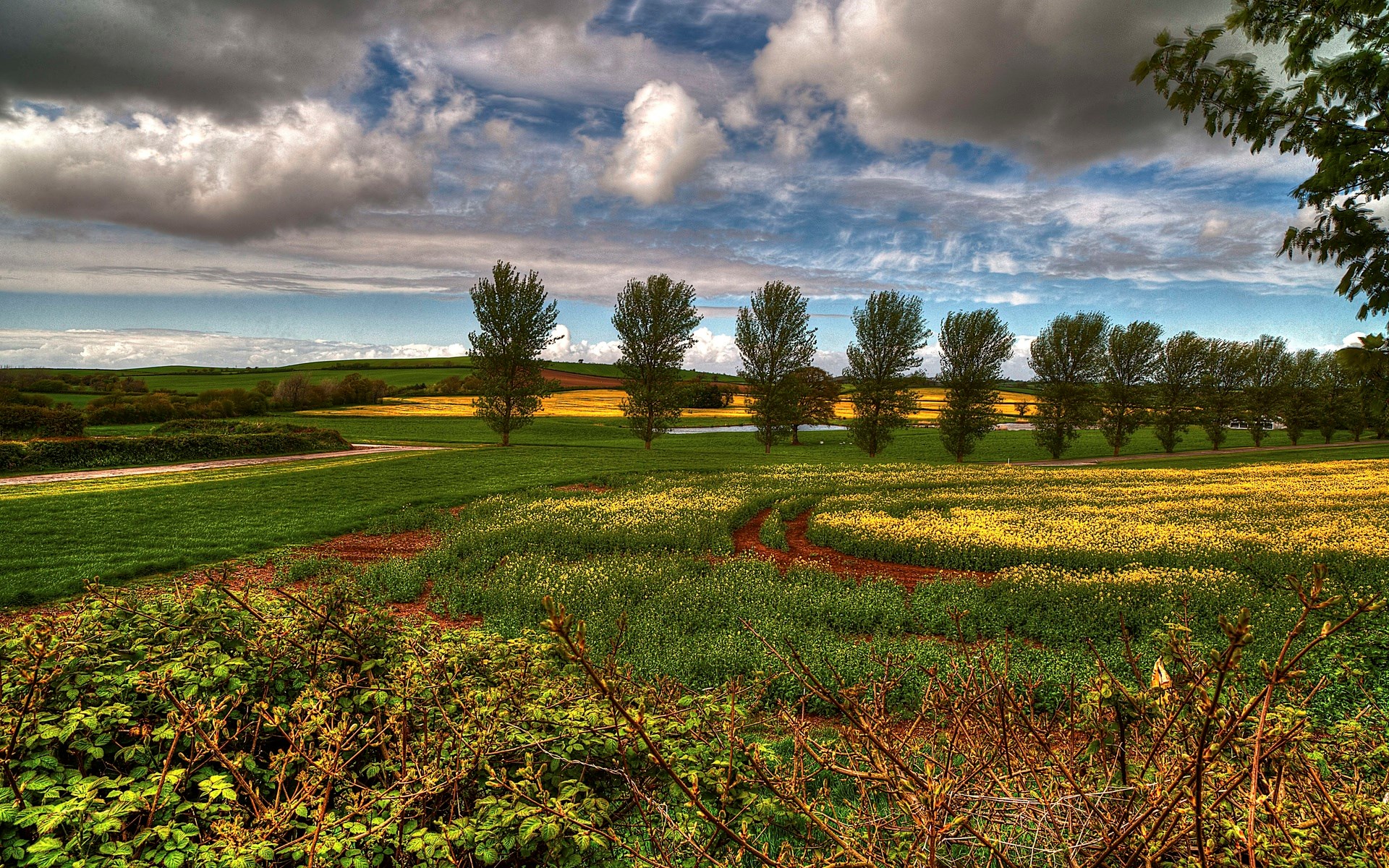 A scenic rural landscape with fields and trees HD Wallpaper
