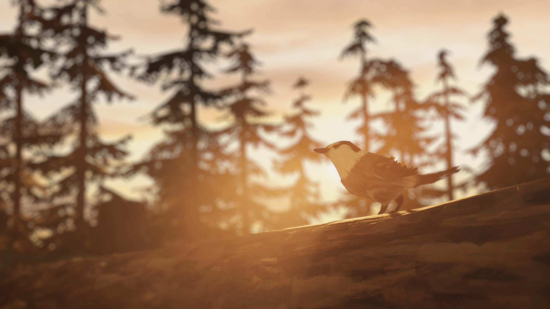 Bird on a log in Life is Strange: Before the Storm HD Wallpaper