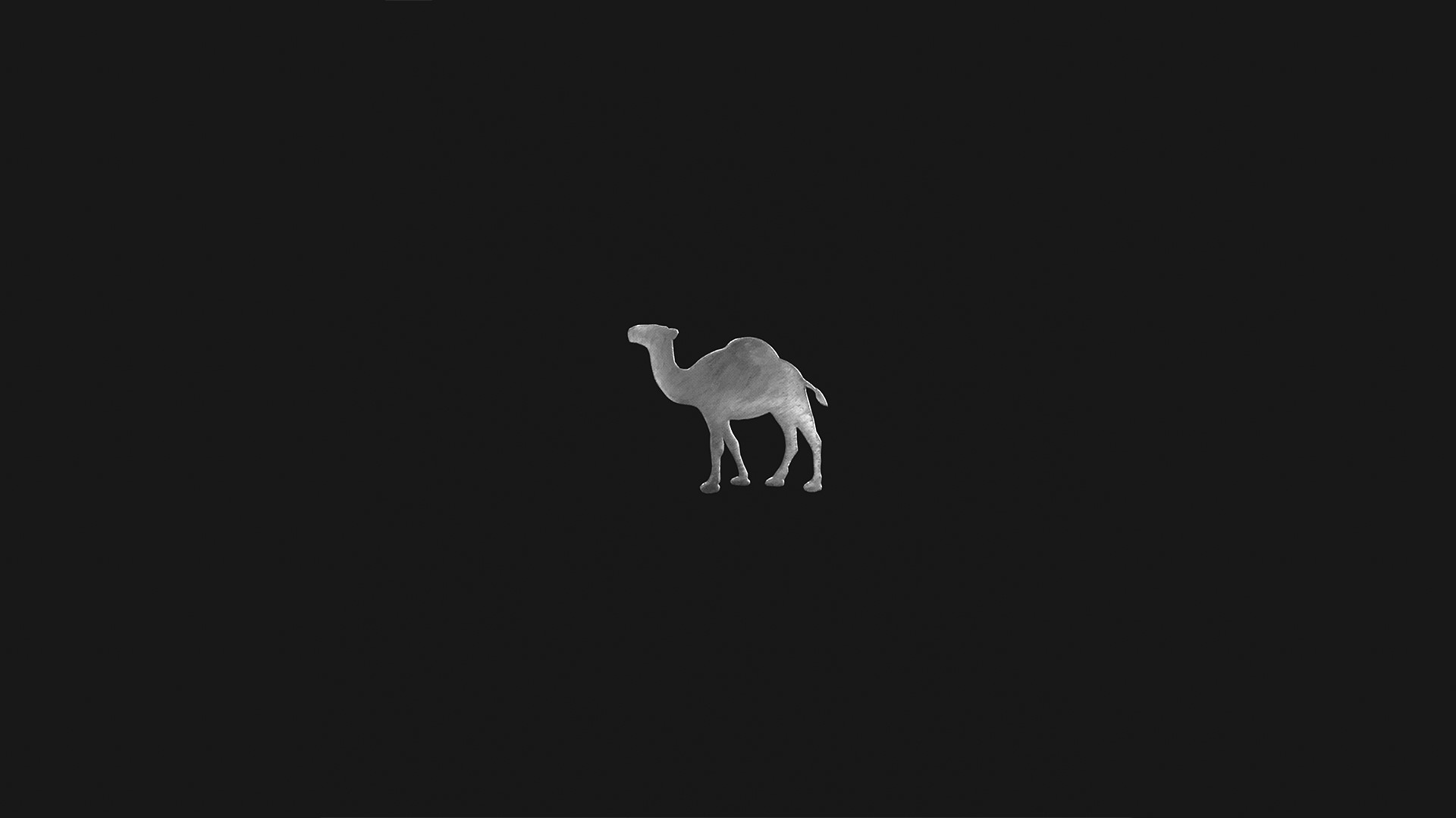 Minimalist silver camel on black background HD Wallpaper