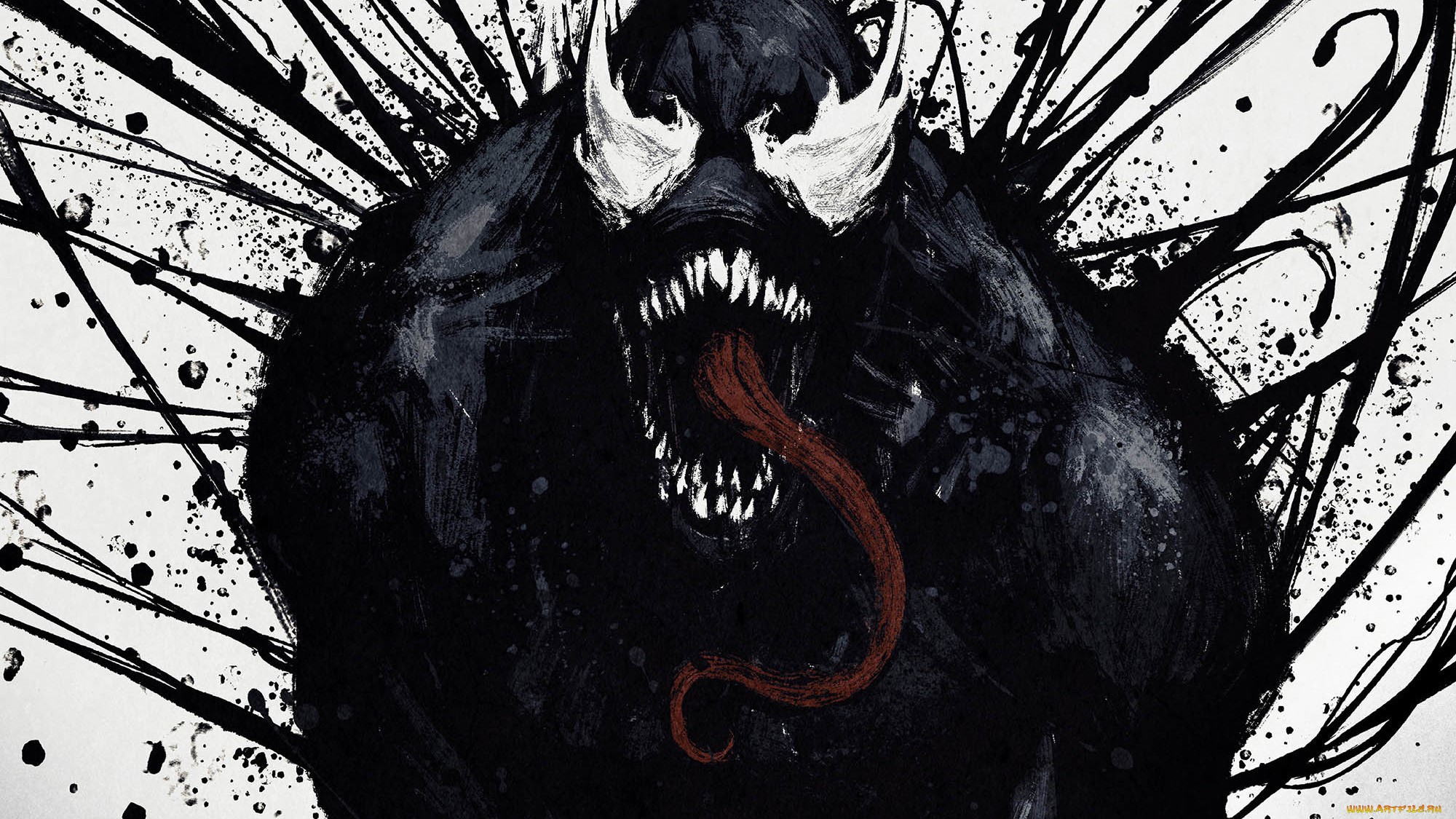 Venom artwork HD Wallpaper