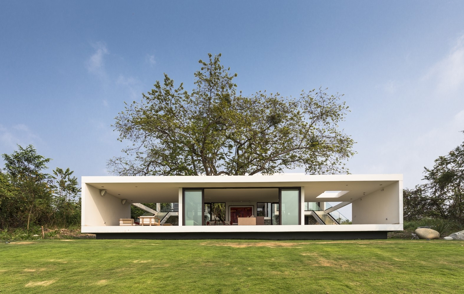 Modern white house with large windows and a tree HD Wallpaper