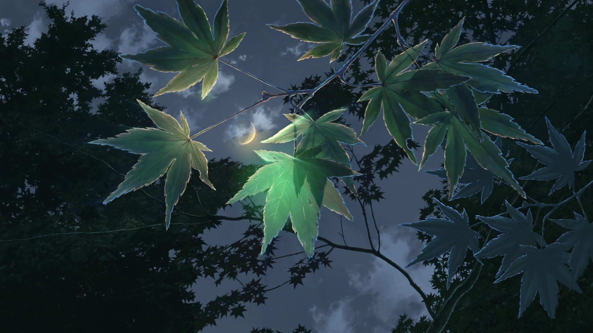 The Garden of Words anime by Makoto Shinkai HD Wallpaper