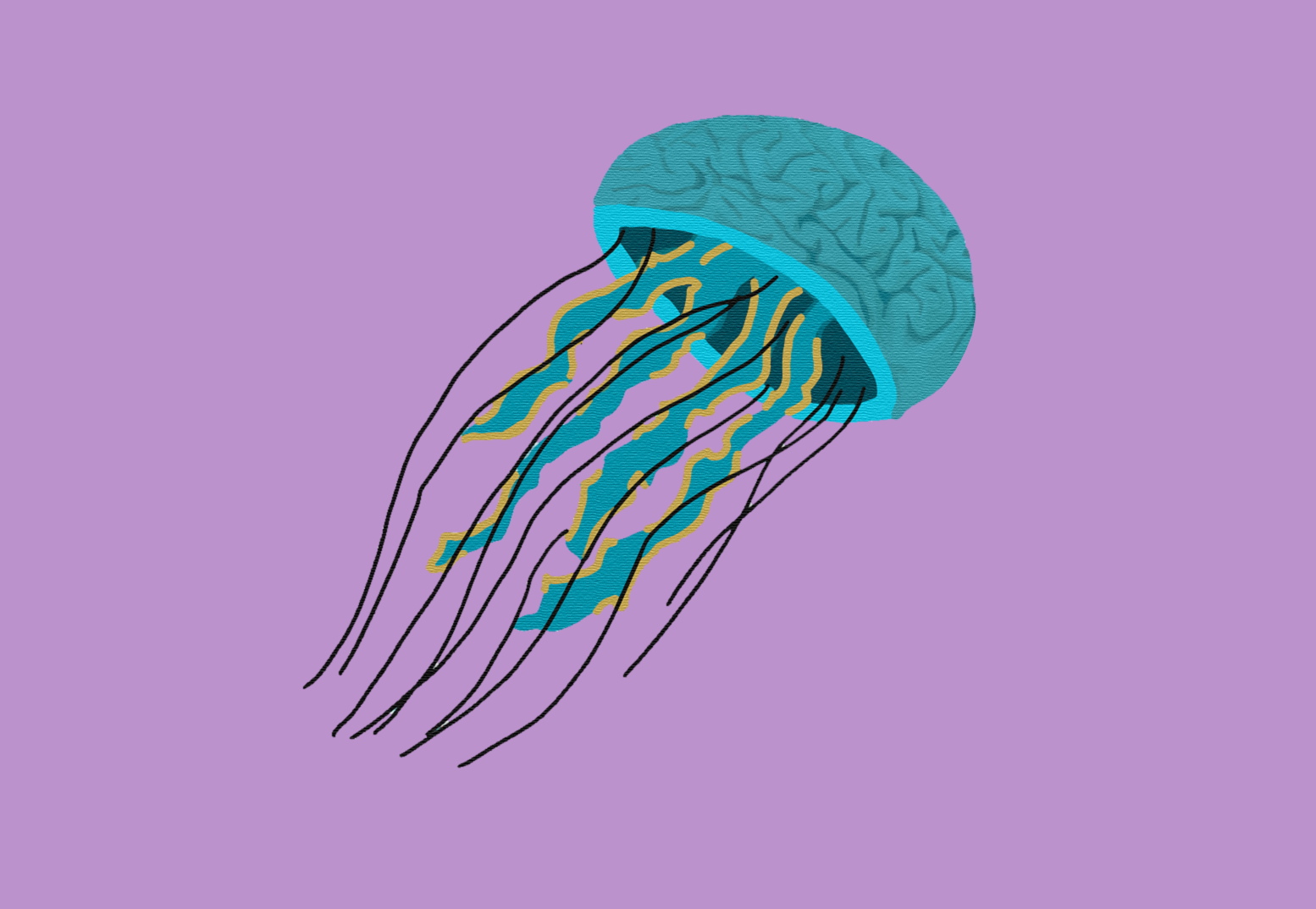 Jellyfish with a brain on a purple background HD Wallpaper