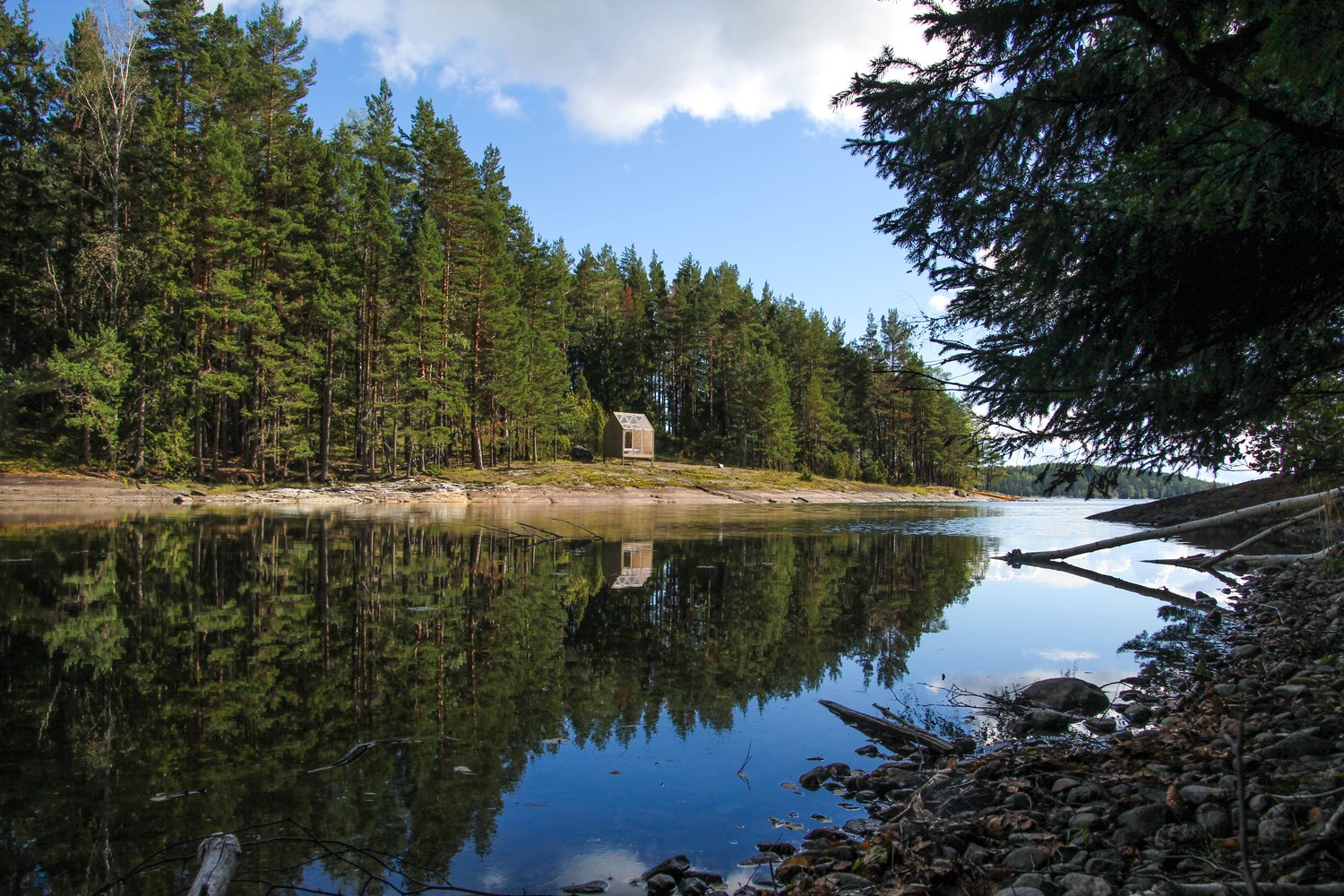 Wooden cabin by a lake in a pine forest HD Wallpaper