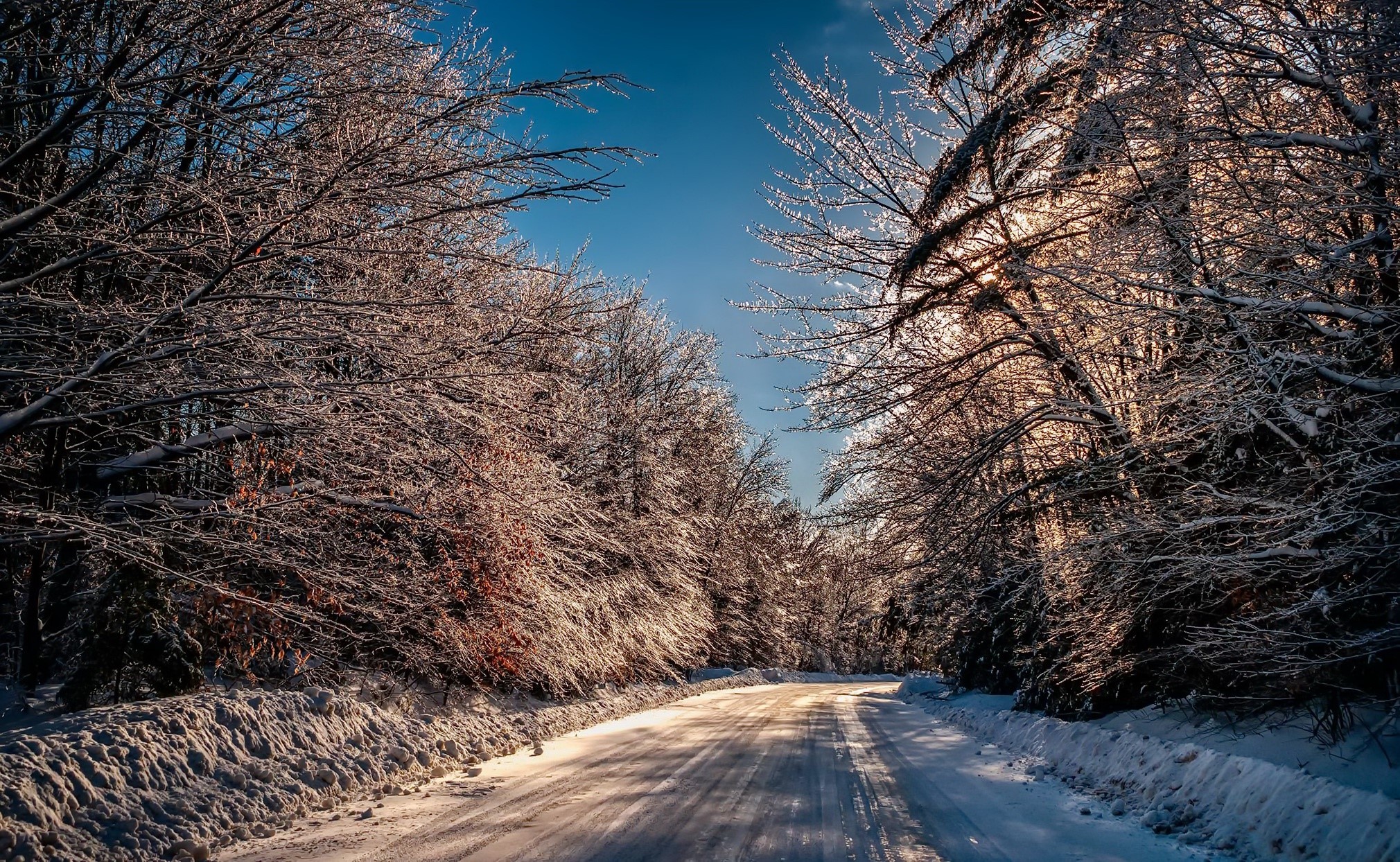 Snowy road through a sun-dappled winter forest HD Wallpaper