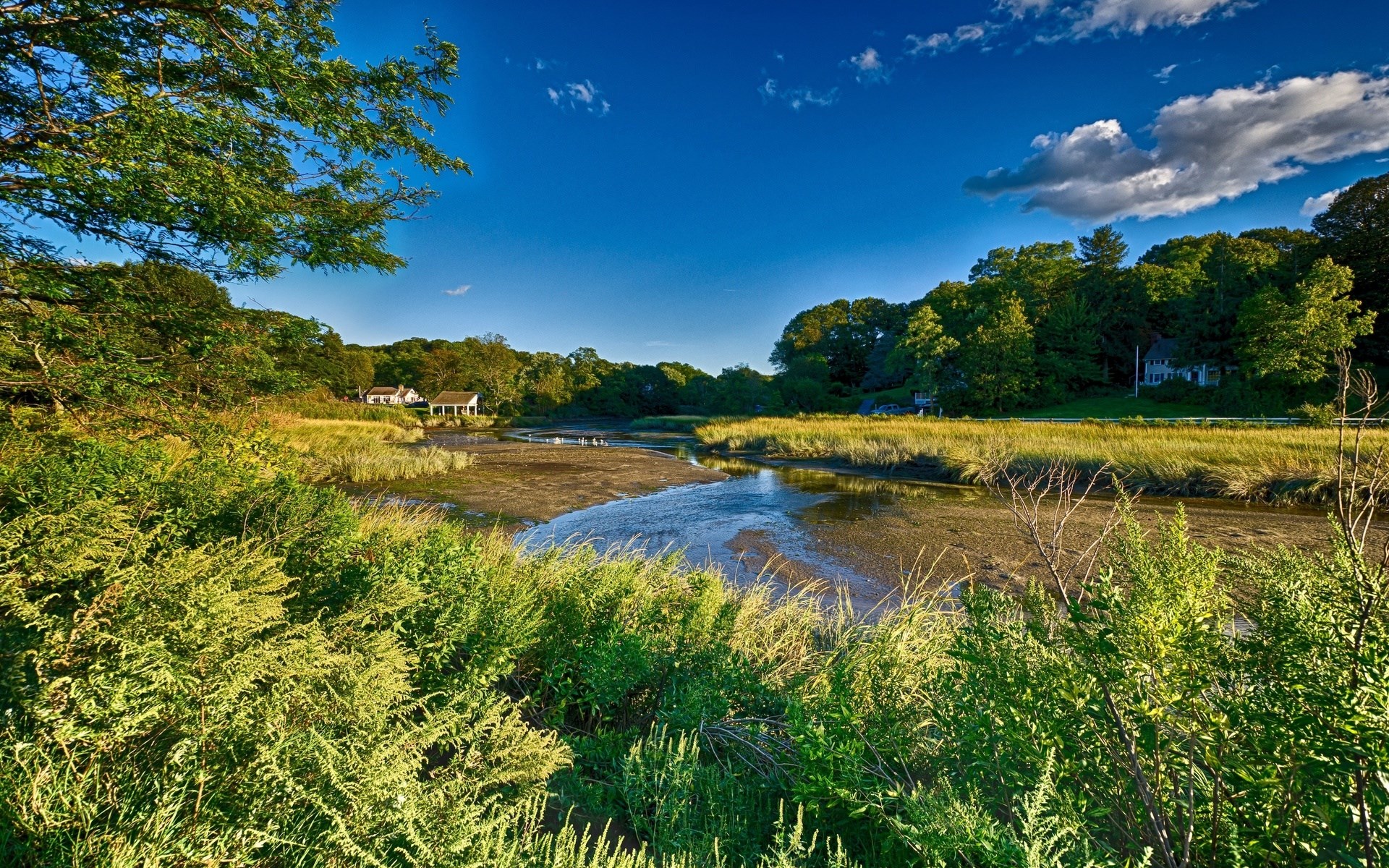 Marshland with houses and trees under blue sky HD Wallpaper