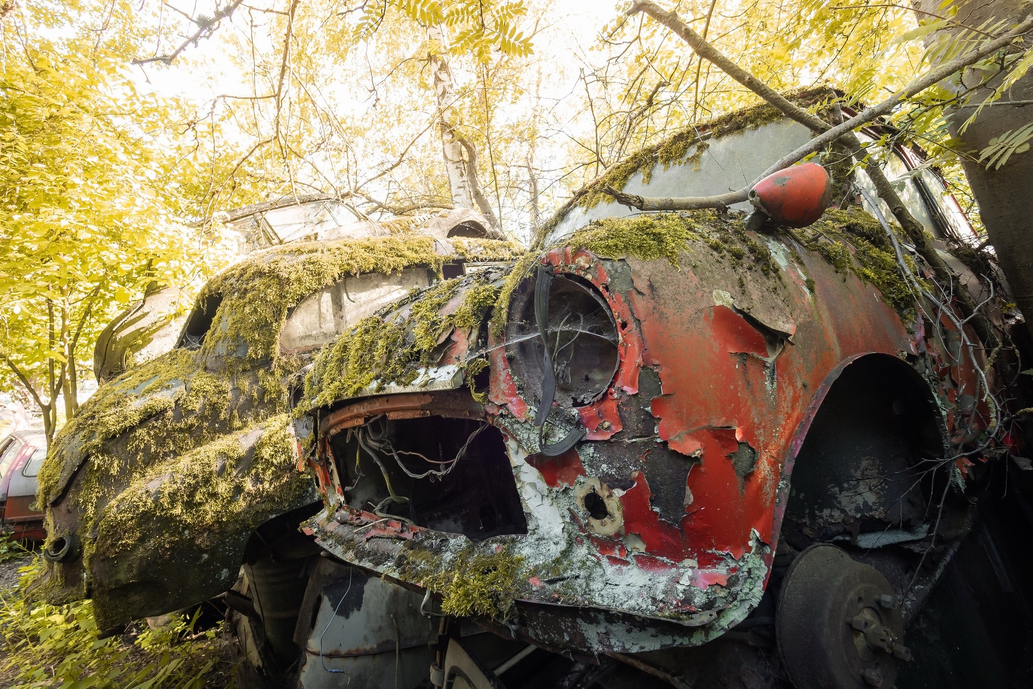Moss-covered car wrecks in a forest HD Wallpaper