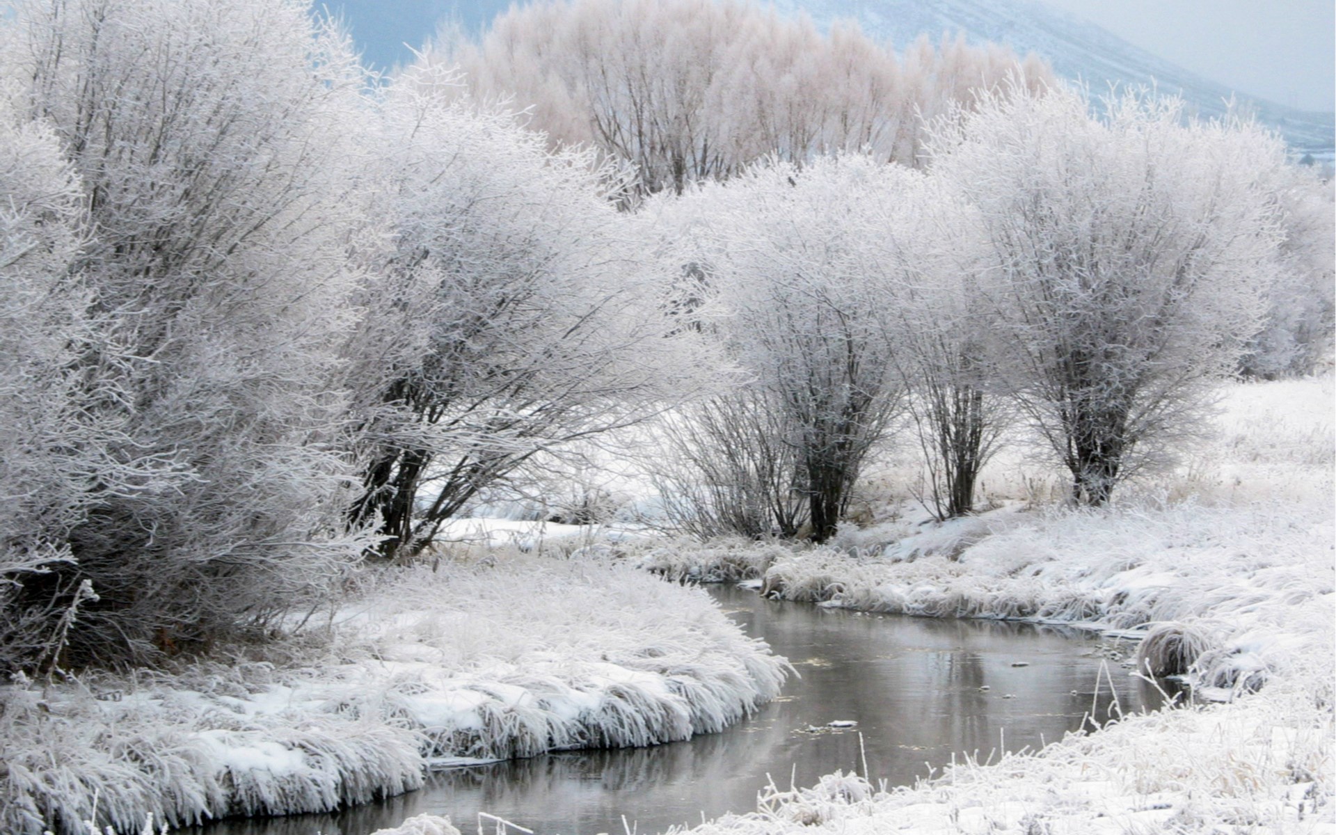 Winter landscape with a frozen stream and trees HD Wallpaper