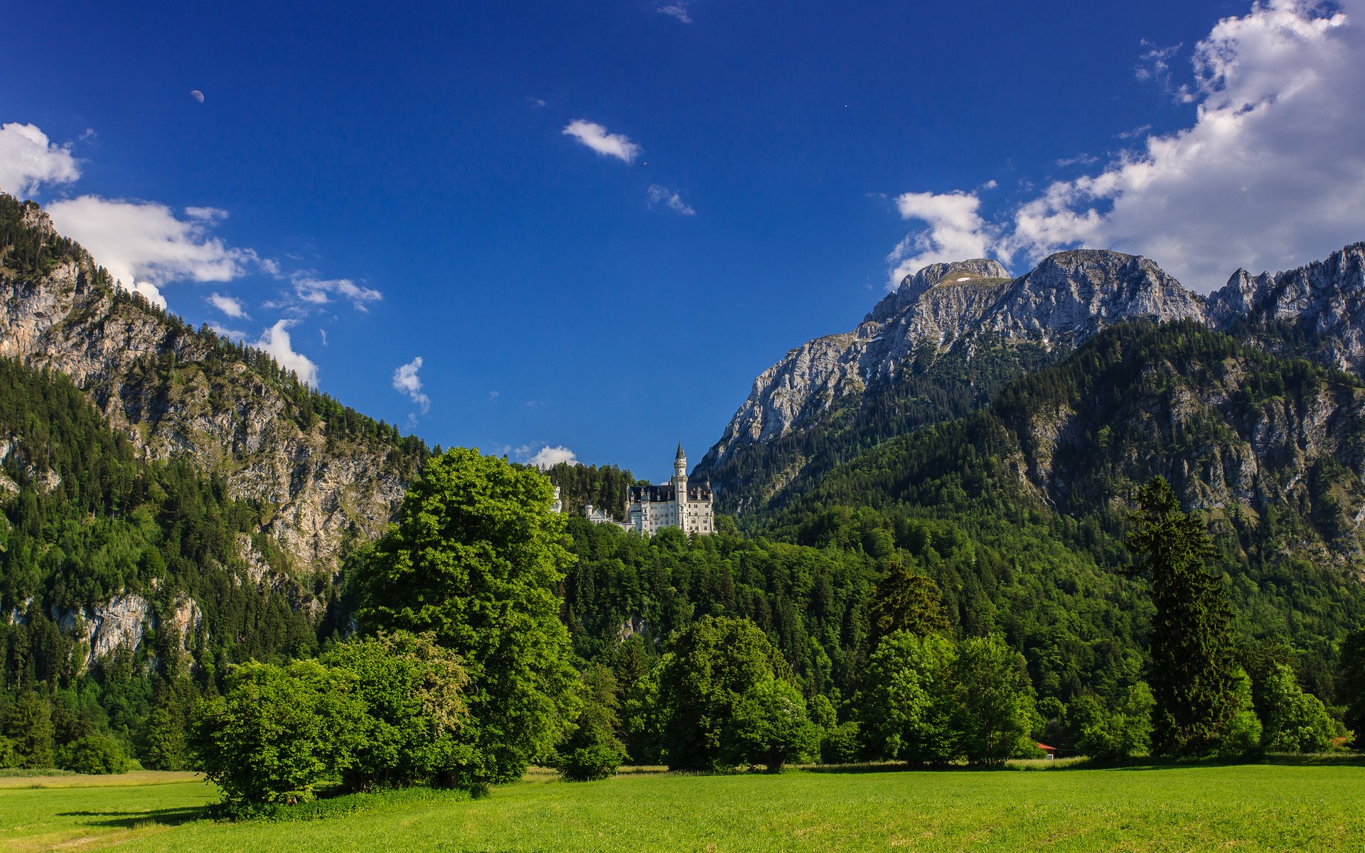 Neuschwanstein Castle in the Bavarian Alps HD Wallpaper