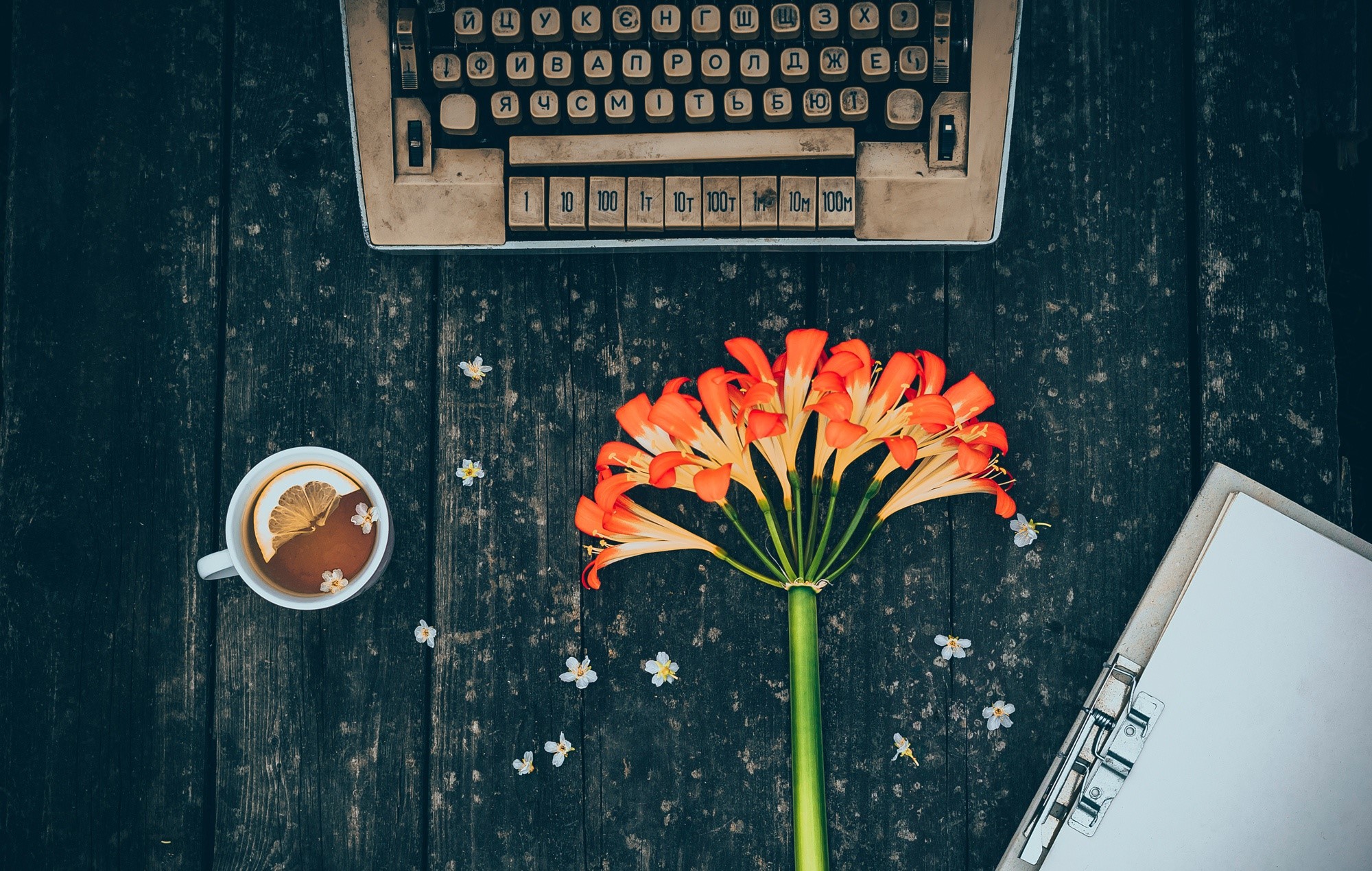 Still life with typewriter, tea, and flowers HD Wallpaper