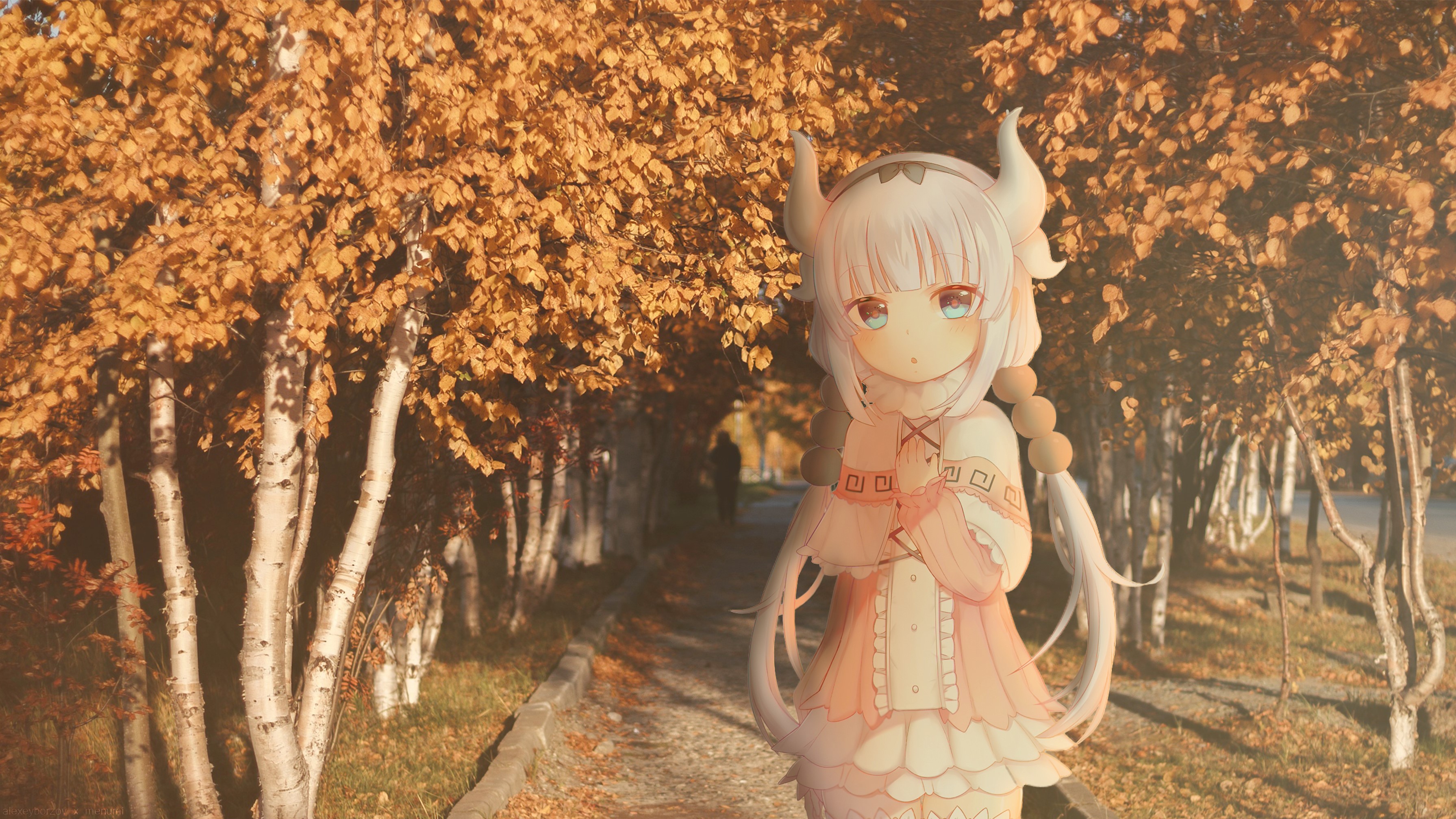 Kanna Kamui from Kobayashi-san Chi no Maid Dragon in autumn park HD Wallpaper