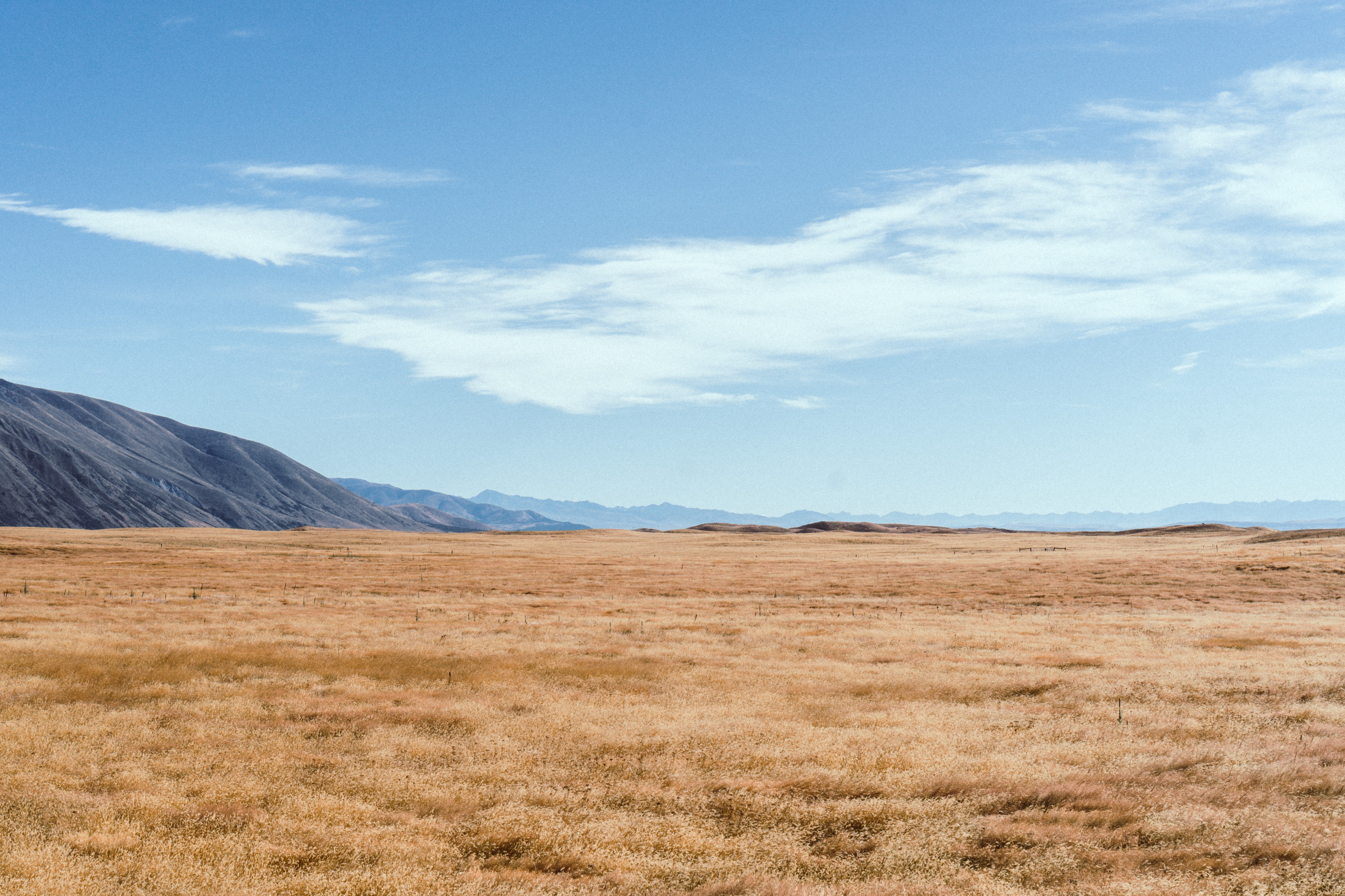 4K New Zealand landscape with mountains and field HD Wallpaper