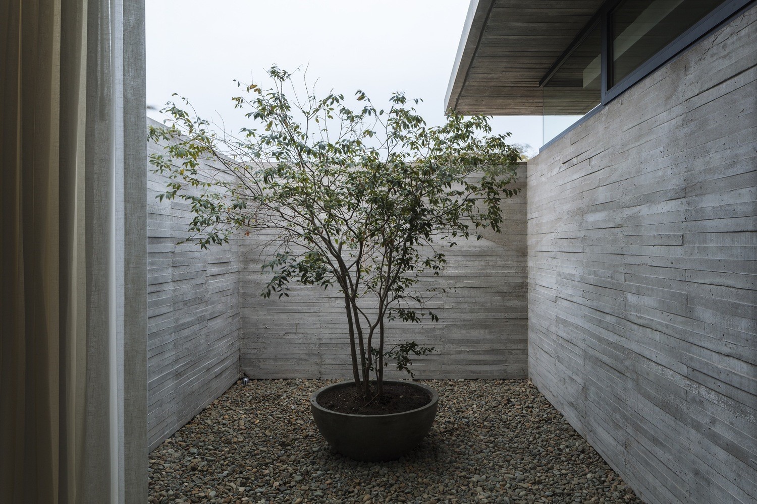 Courtyard with tree and concrete walls HD Wallpaper