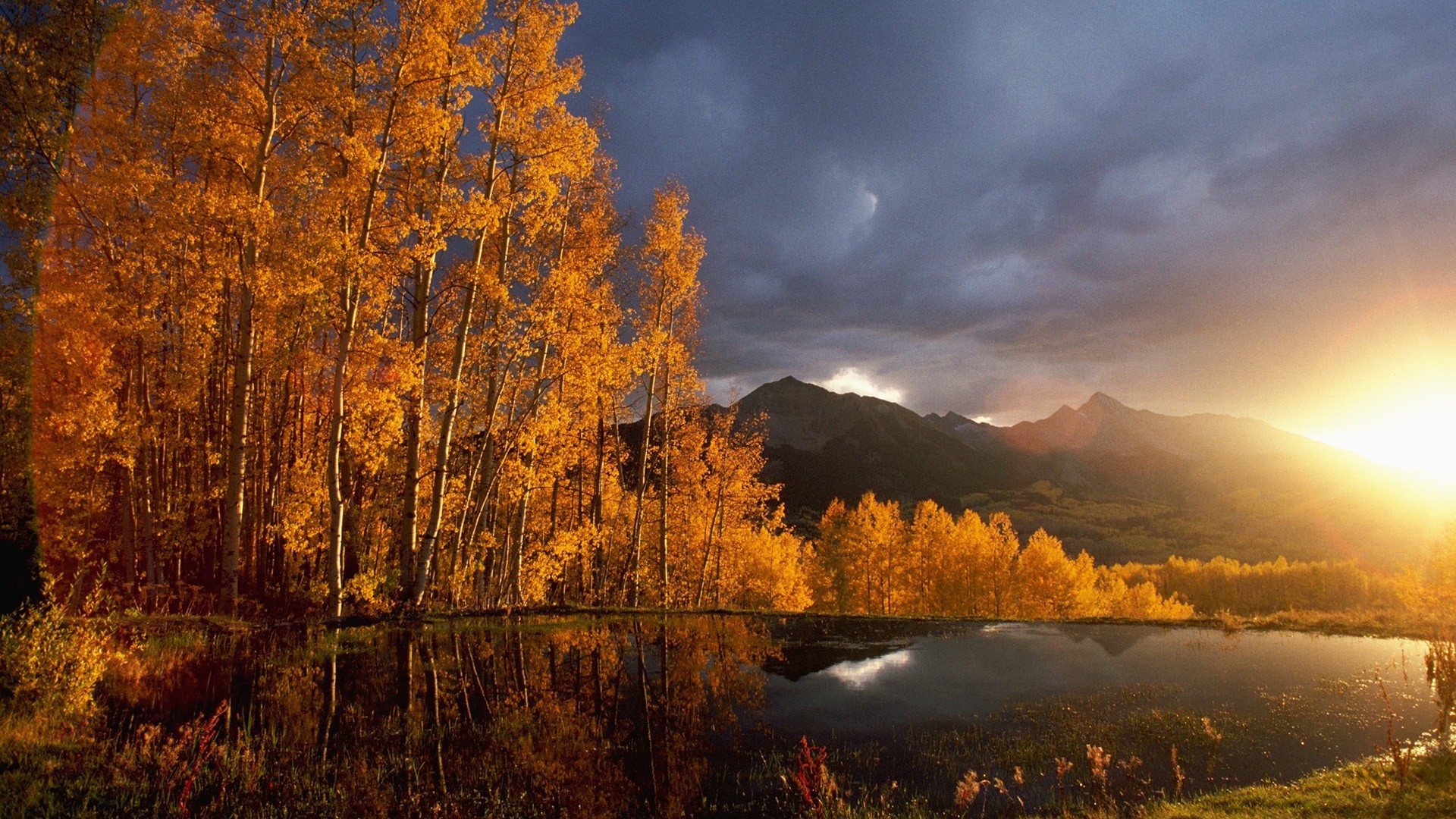 Autumn trees reflecting in a pond at sunset HD Wallpaper