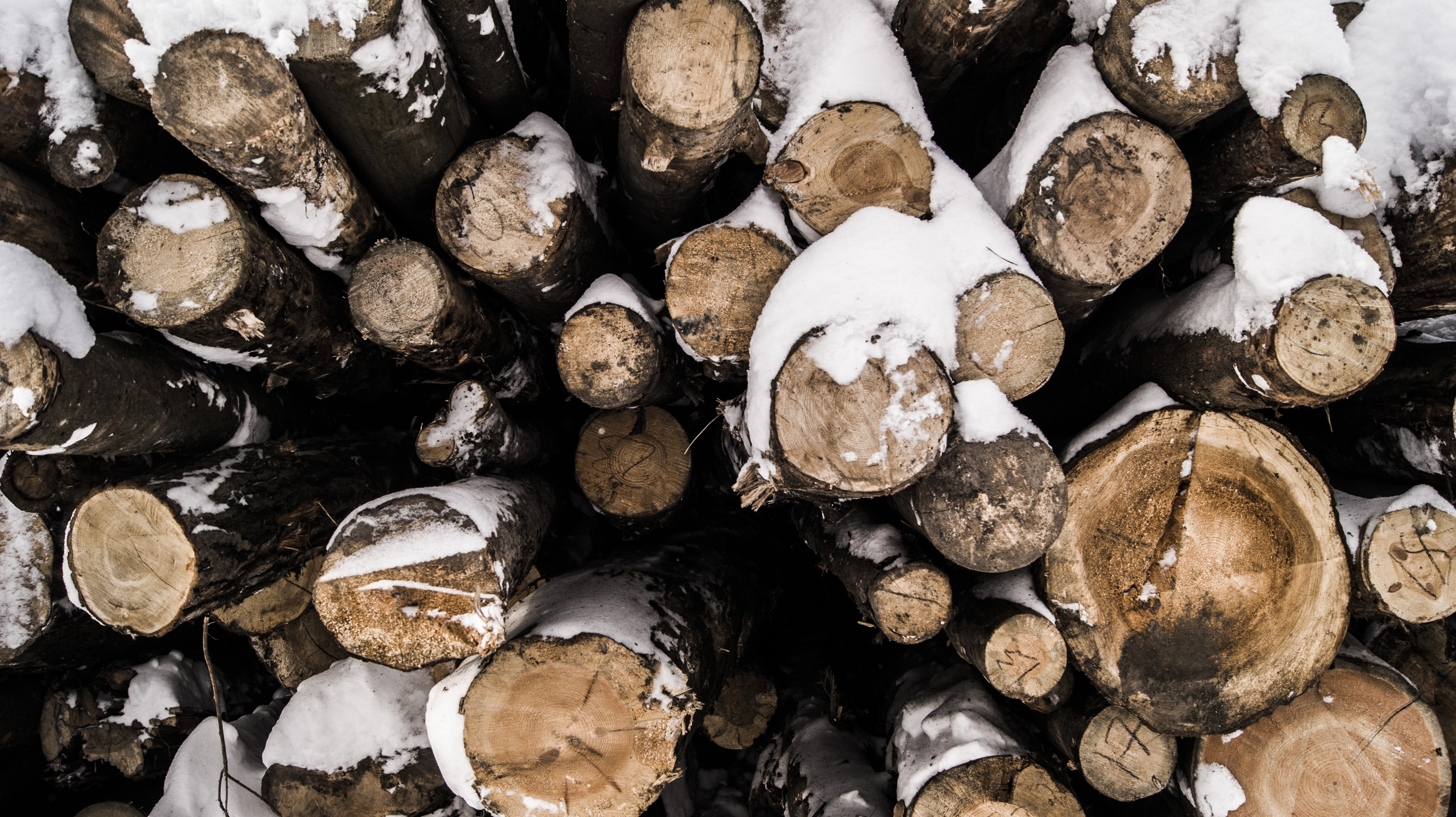 Pile of snow-covered logs HD Wallpaper