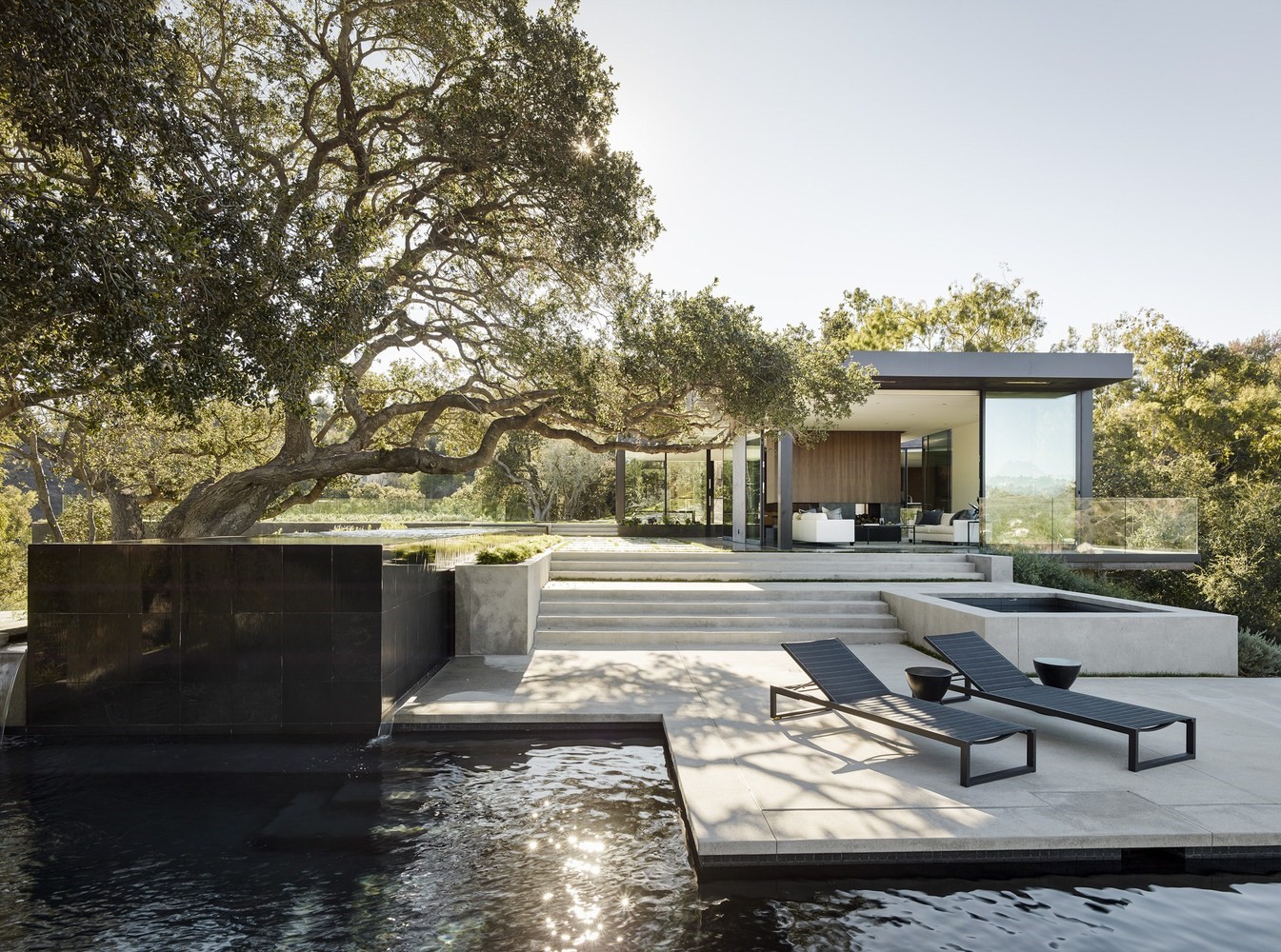 Modern house with swimming pool and large tree HD Wallpaper