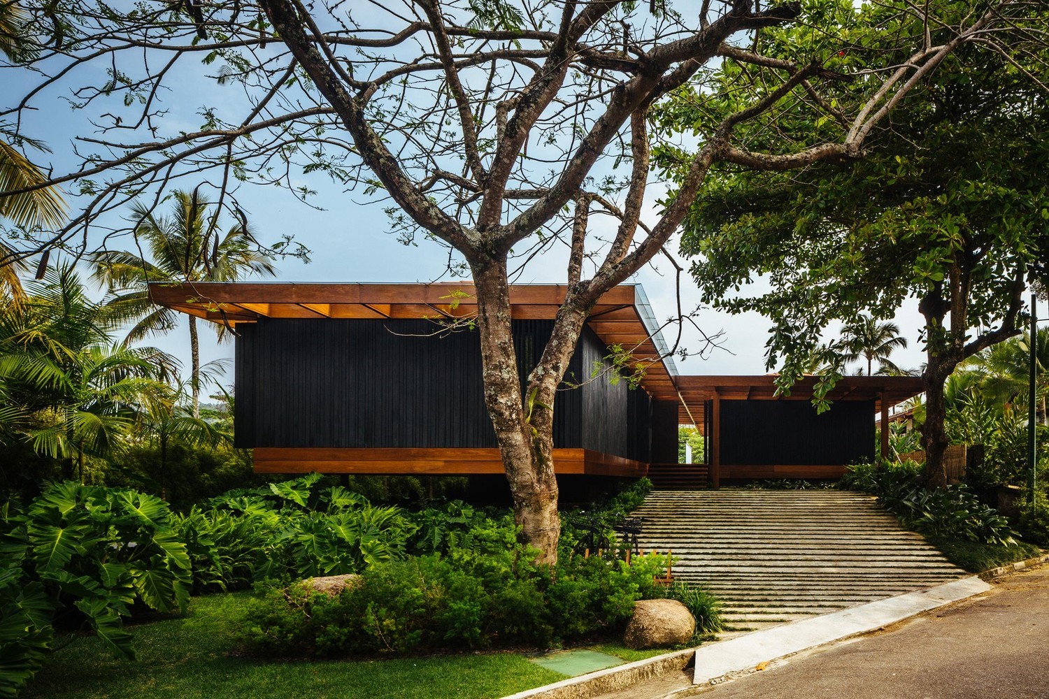 Modern house with wooden roof surrounded by tropical plants HD Wallpaper