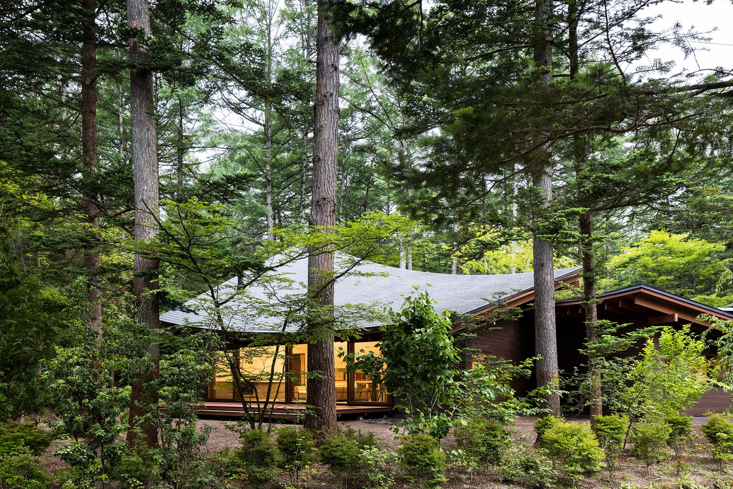 Modern house nestled among tall trees in a forest HD Wallpaper