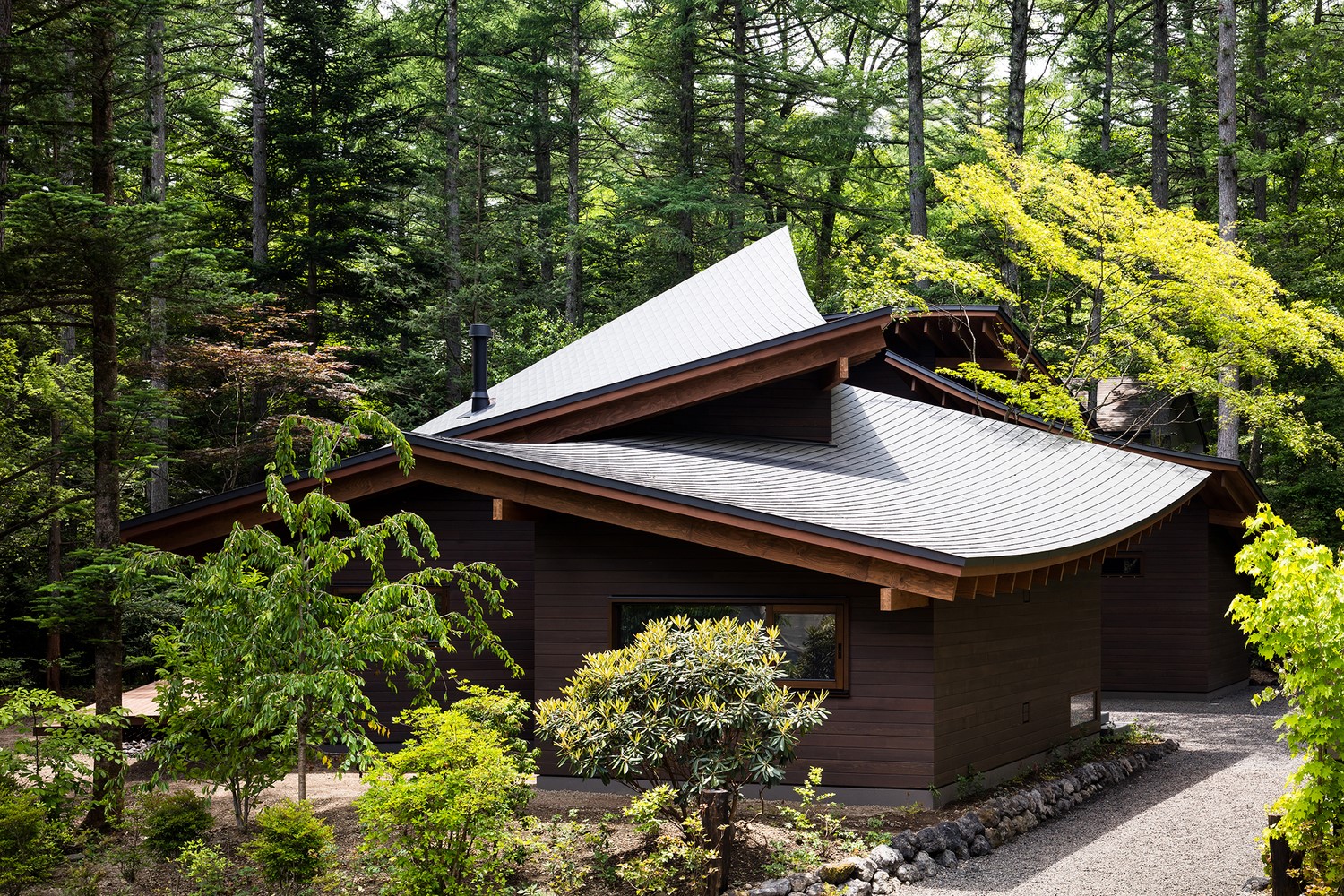 Modern house with curved roof in a forest HD Wallpaper