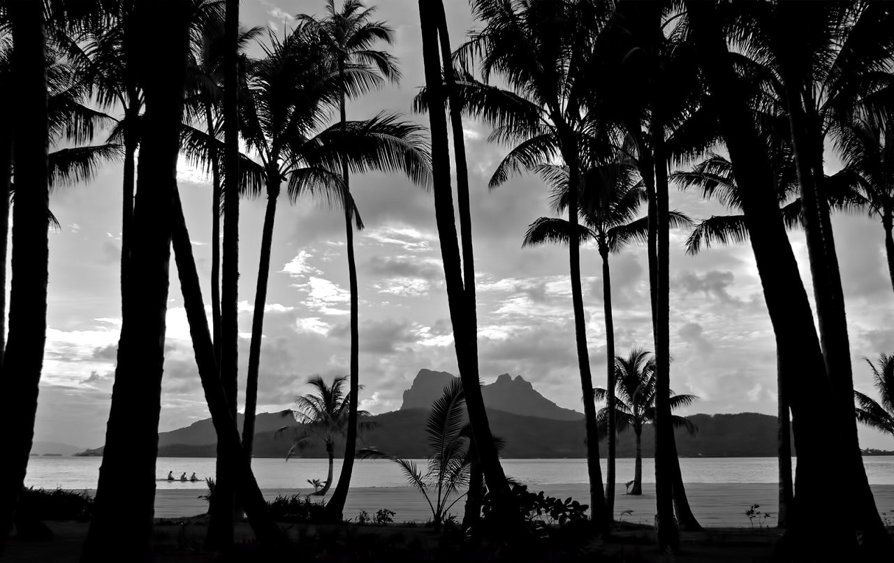 Palm trees on a tropical beach with an island in the distance HD Wallpaper