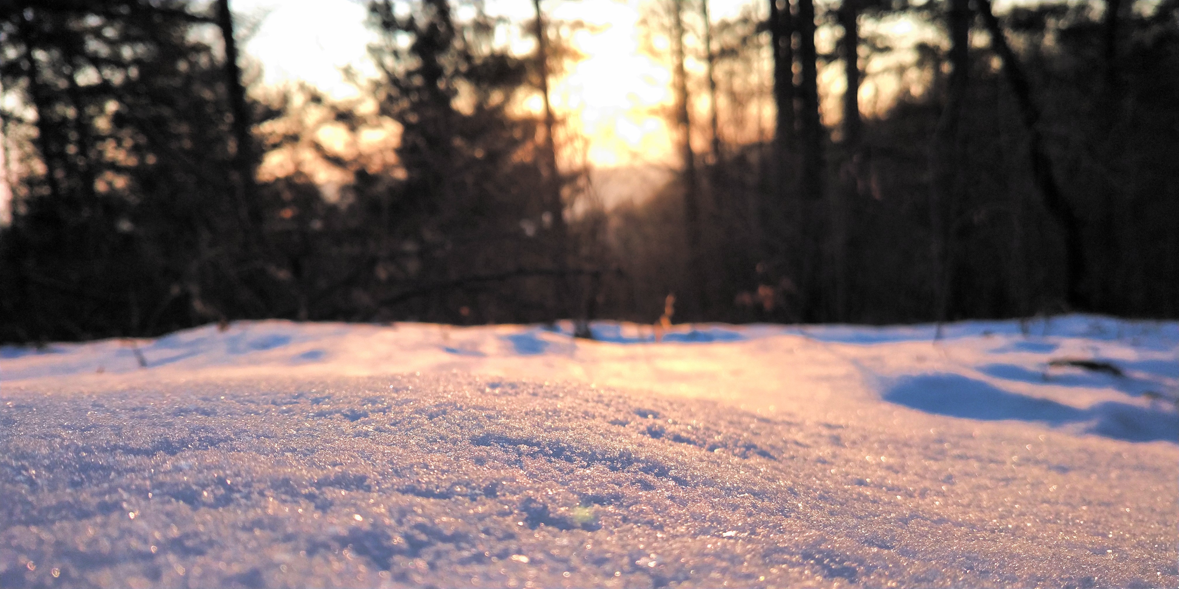 4K Winter Snow Sunlight Photography HD Wallpaper