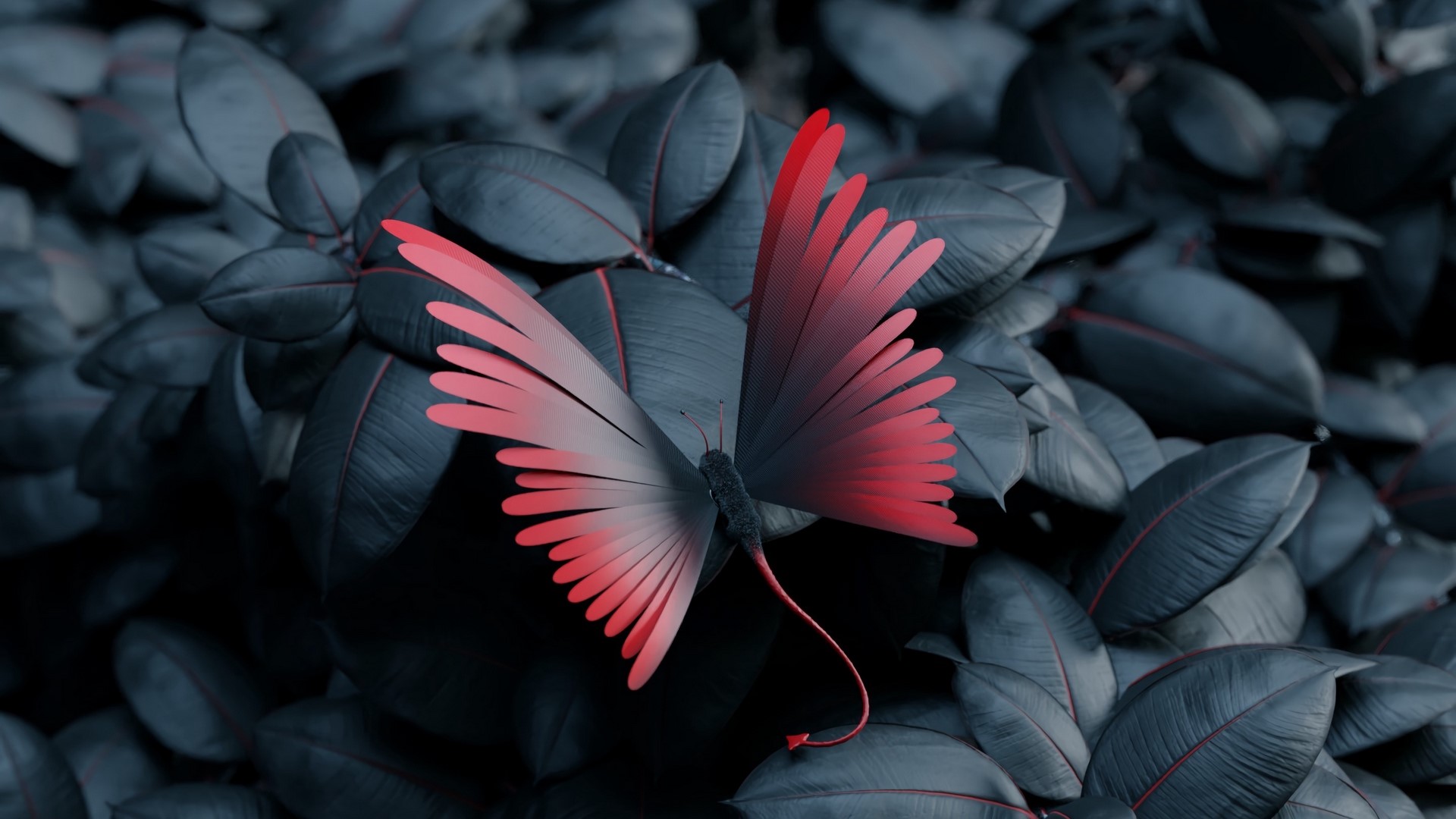 Red butterfly with a long tail on dark leaves HD Wallpaper