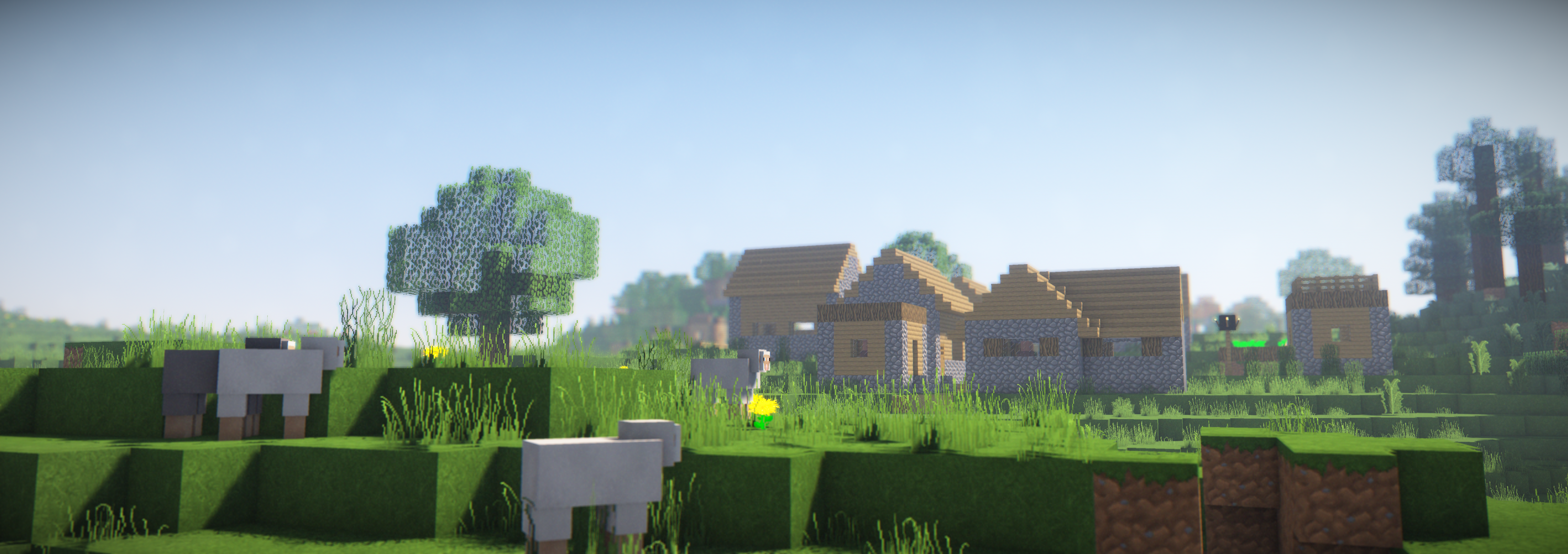Minecraft village with sheep and trees HD Wallpaper