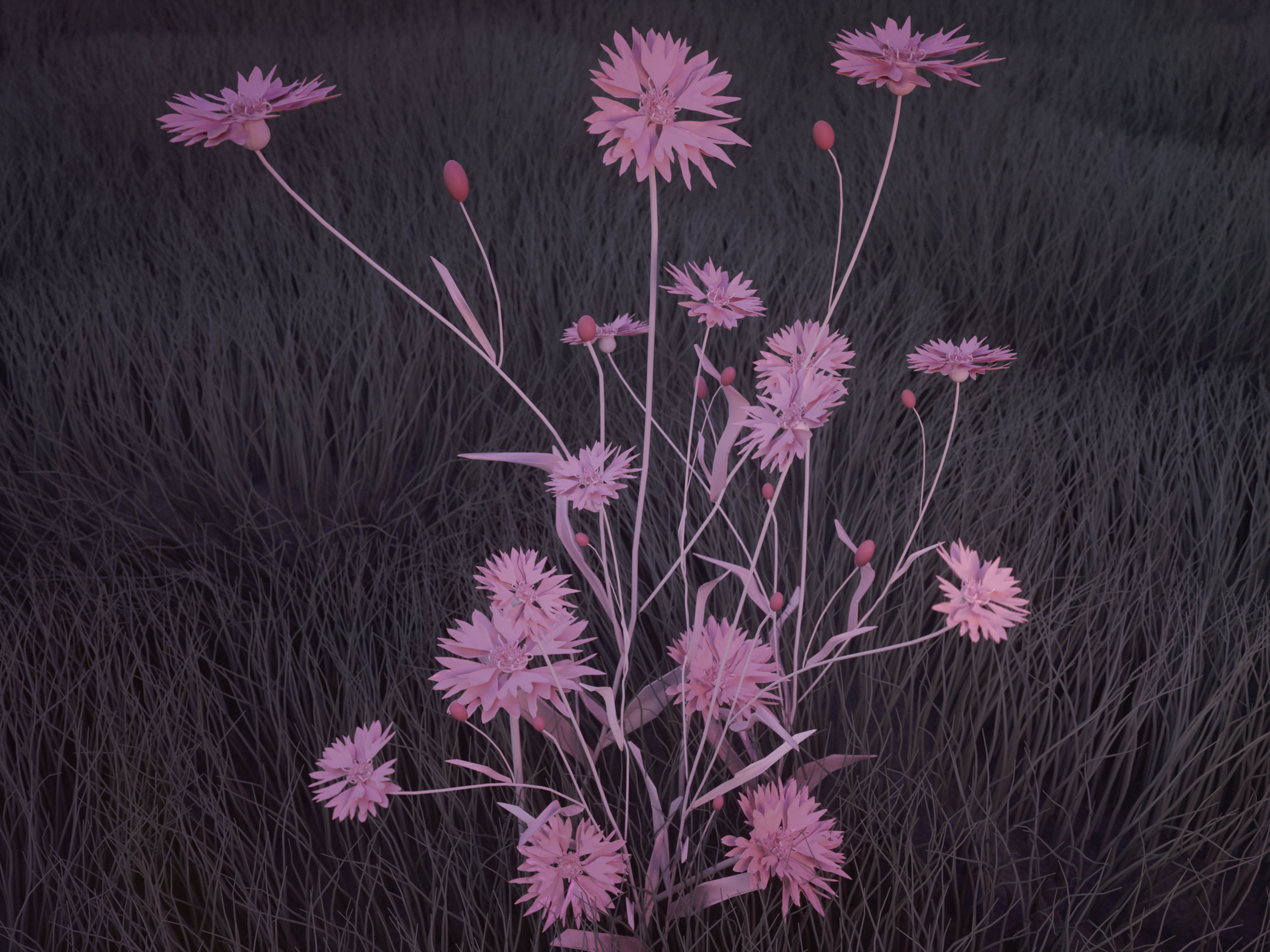 Pink flowers in dry grass, CGI render HD Wallpaper