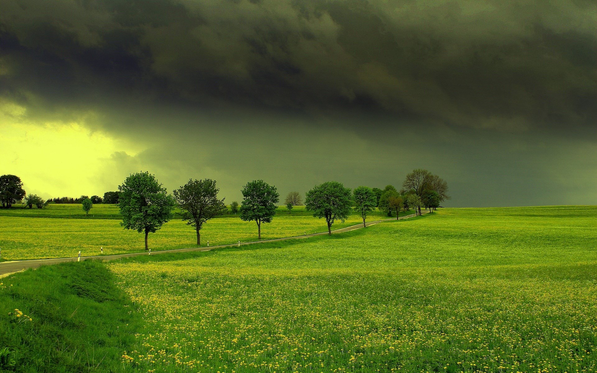 Stormy sky over a green field with trees HD Wallpaper