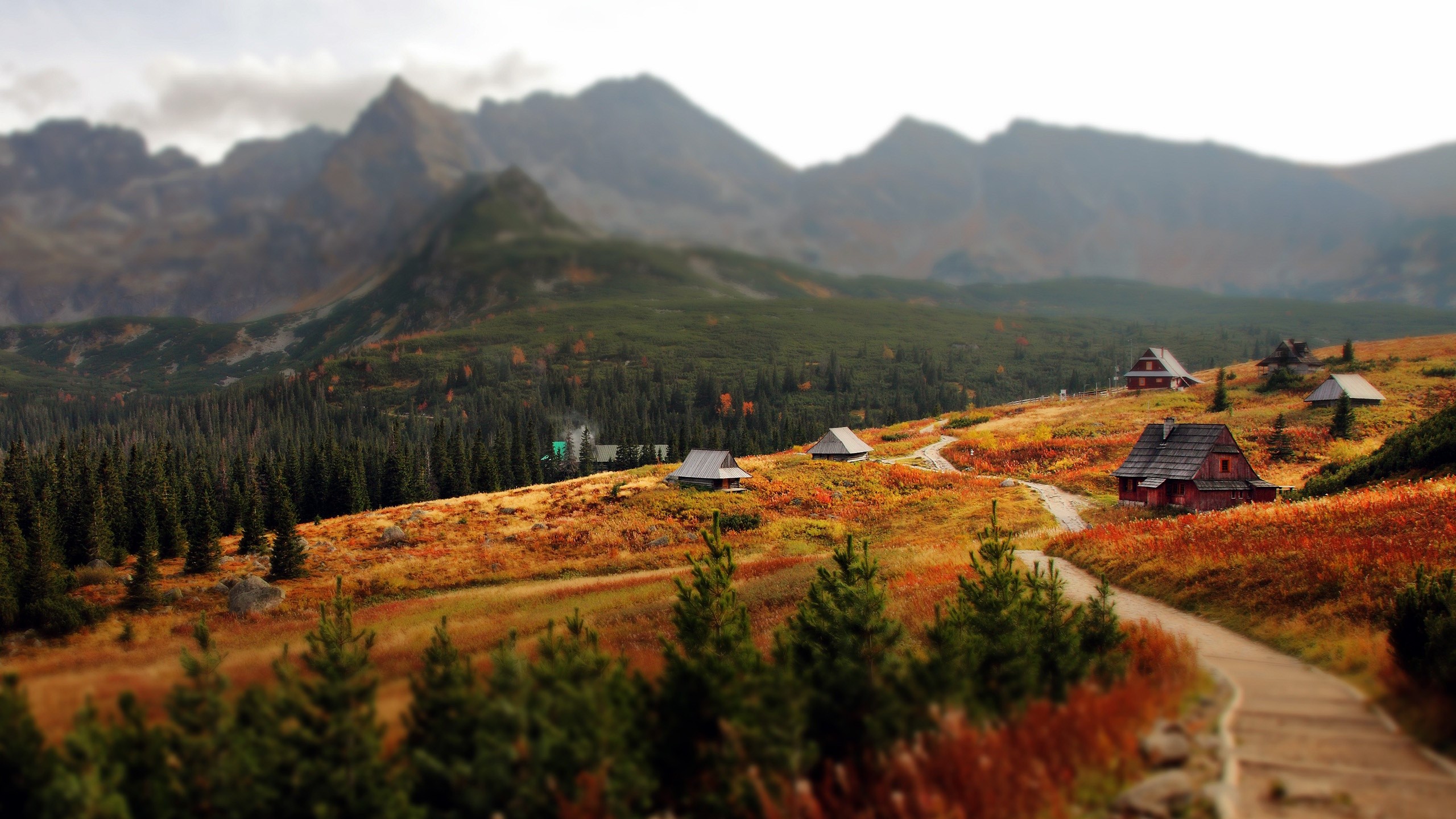 Mountain landscape with cottages and forest in autumn HD Wallpaper