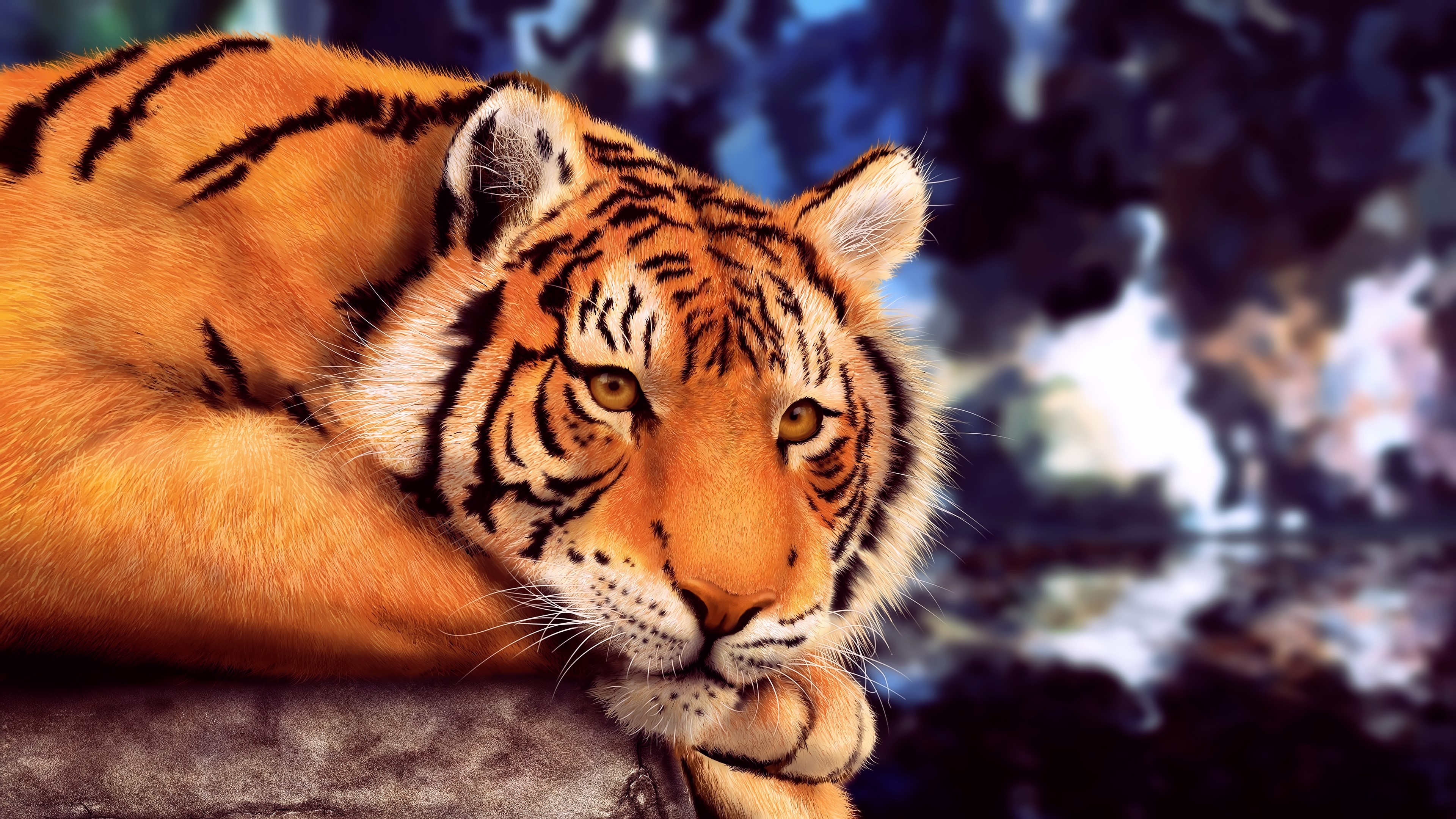 4K Tiger with Yellow Eyes HD Wallpaper