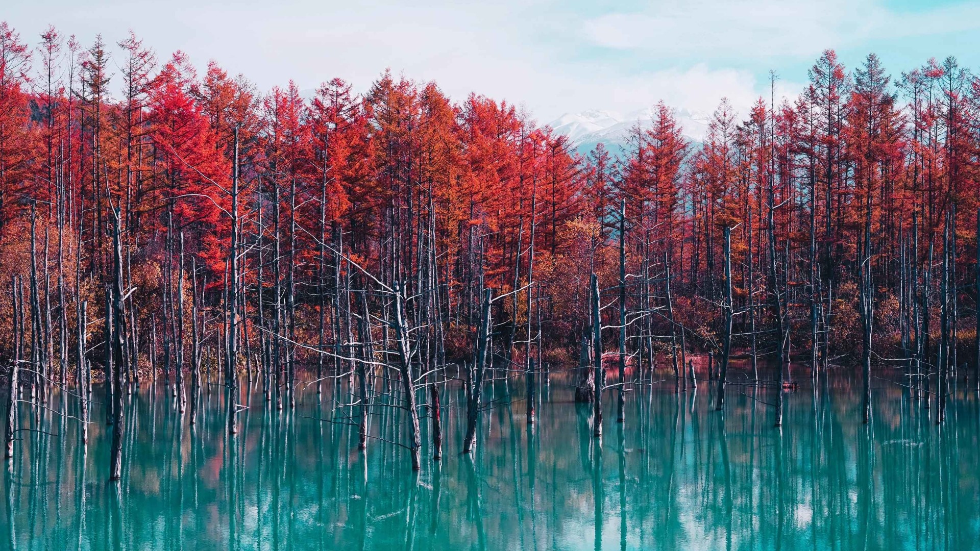 Autumn forest reflected in a blue lake HD Wallpaper