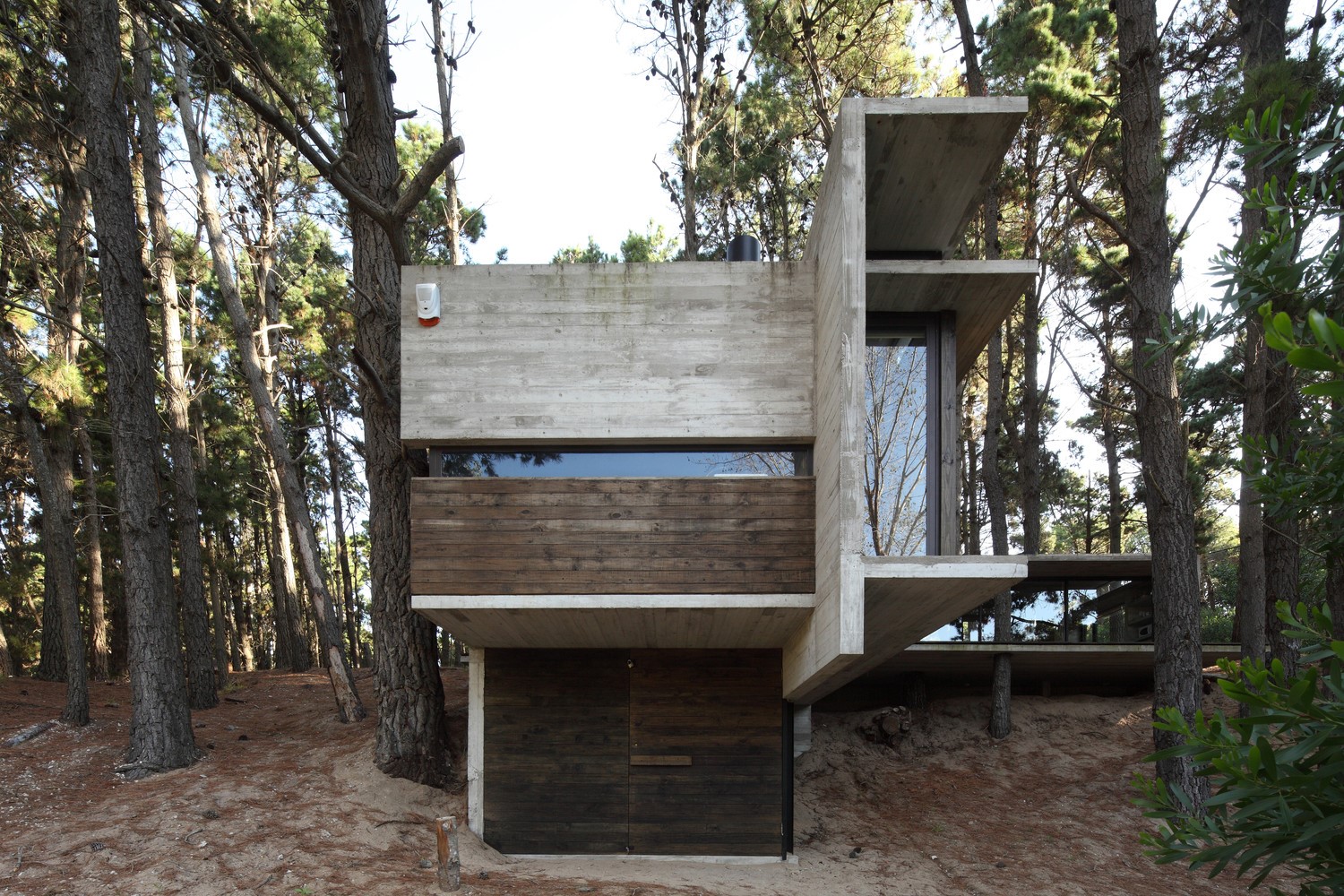 Modern concrete house in a forest HD Wallpaper