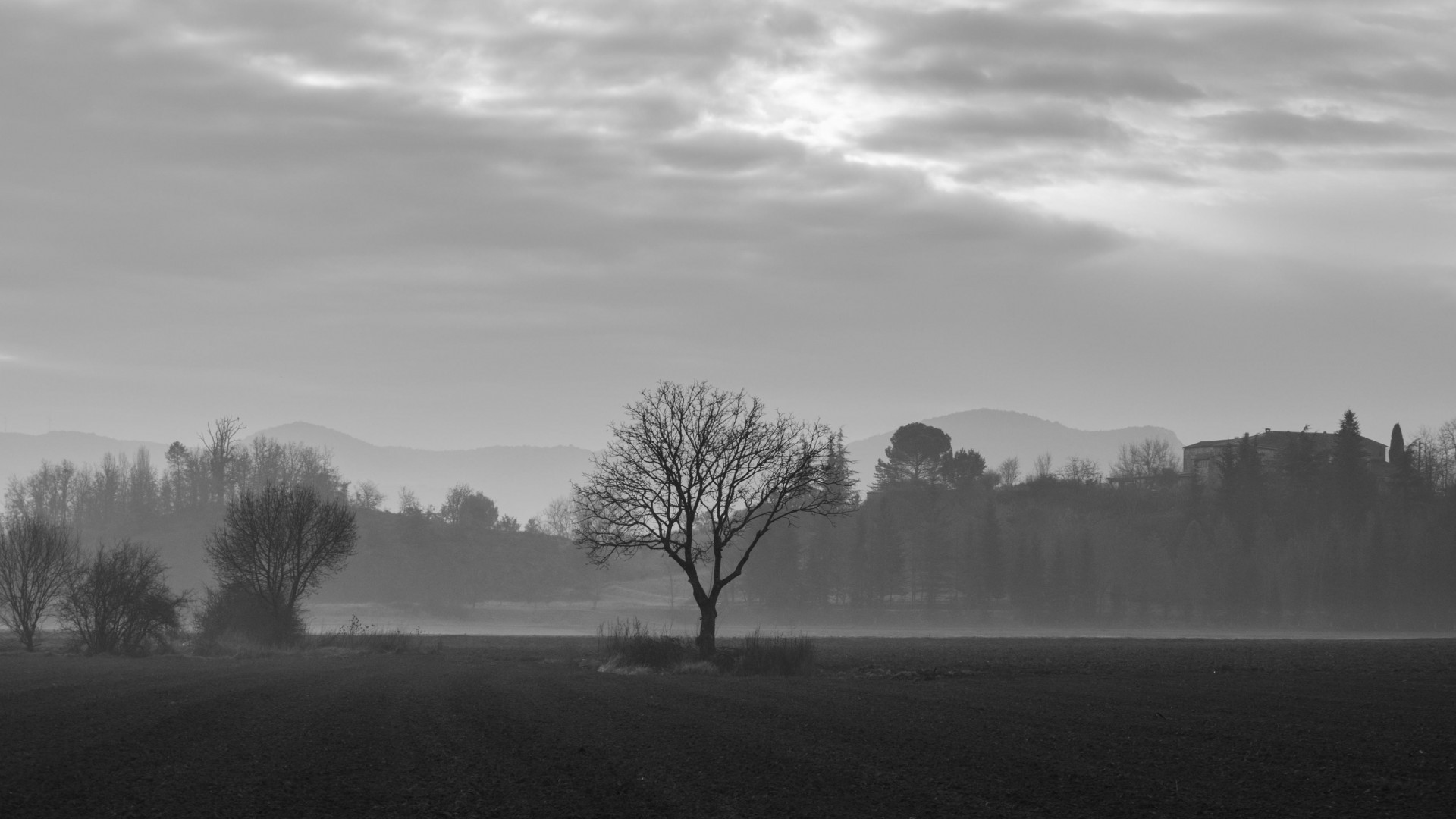 Monochrome landscape with bare trees and distant hills HD Wallpaper