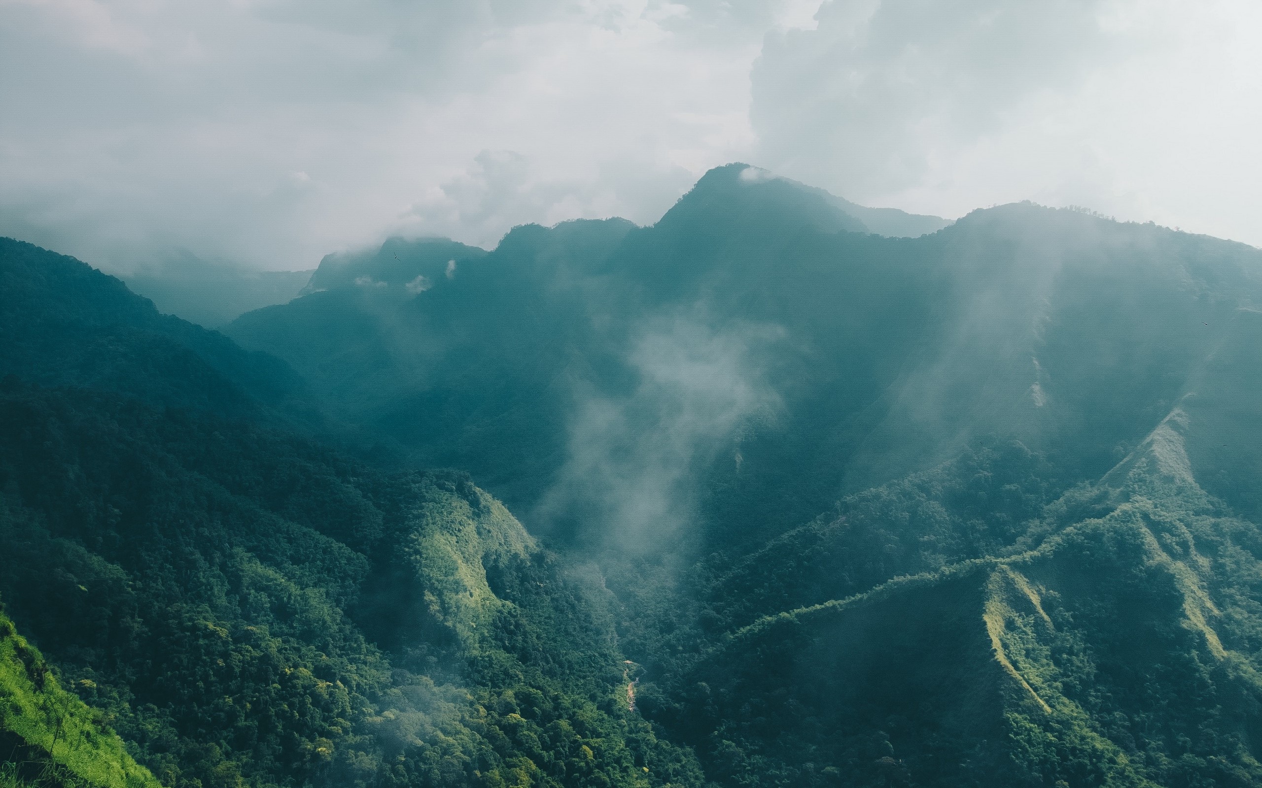 Misty mountains covered in lush green forests HD Wallpaper