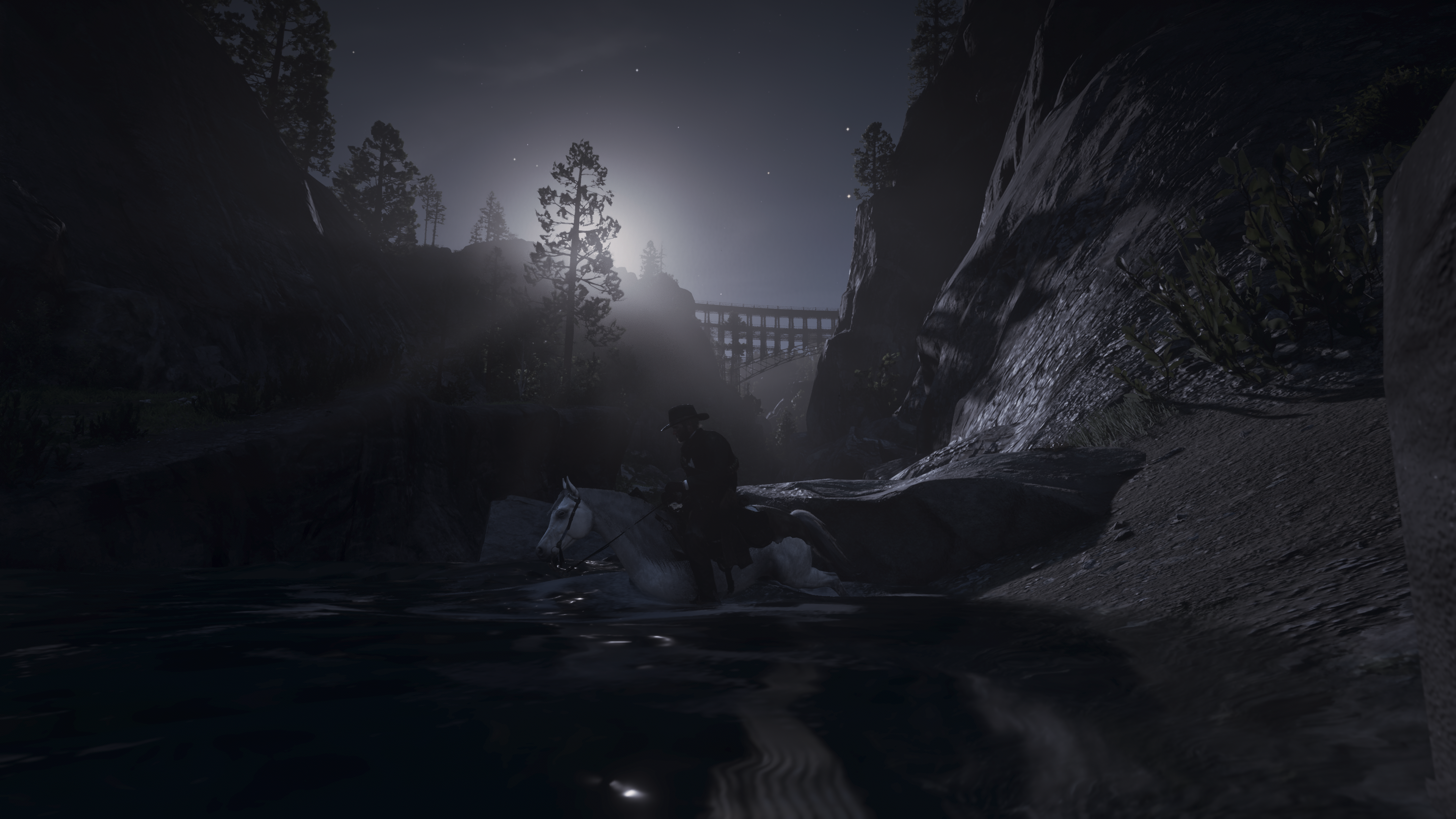 Red Dead Redemption 2 screenshot HD Wallpaper