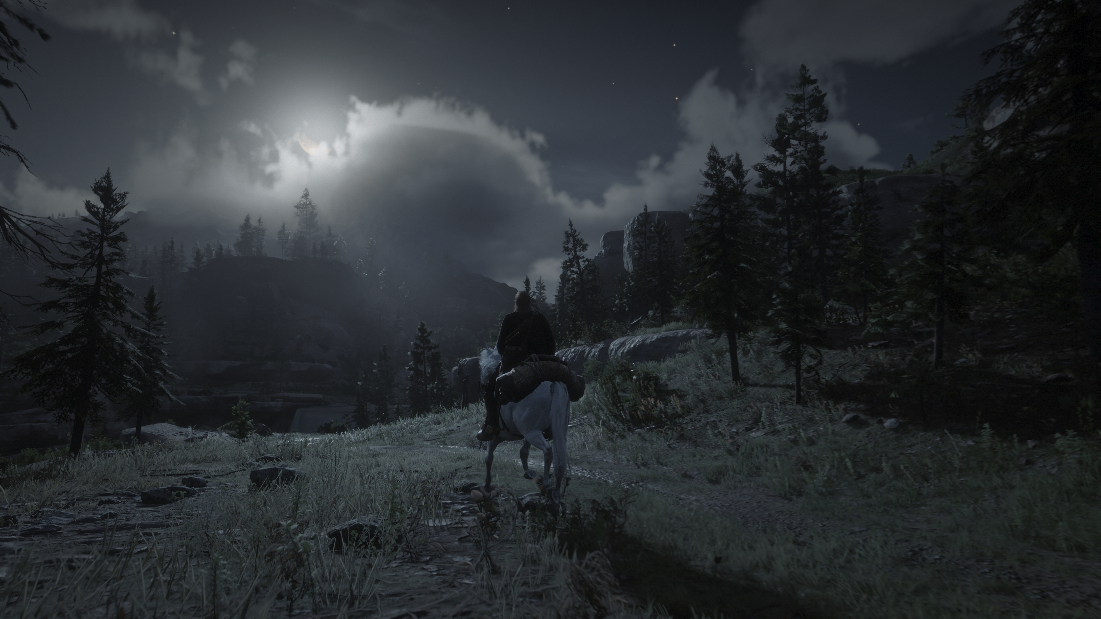 Red Dead Redemption 2 screenshot HD Wallpaper