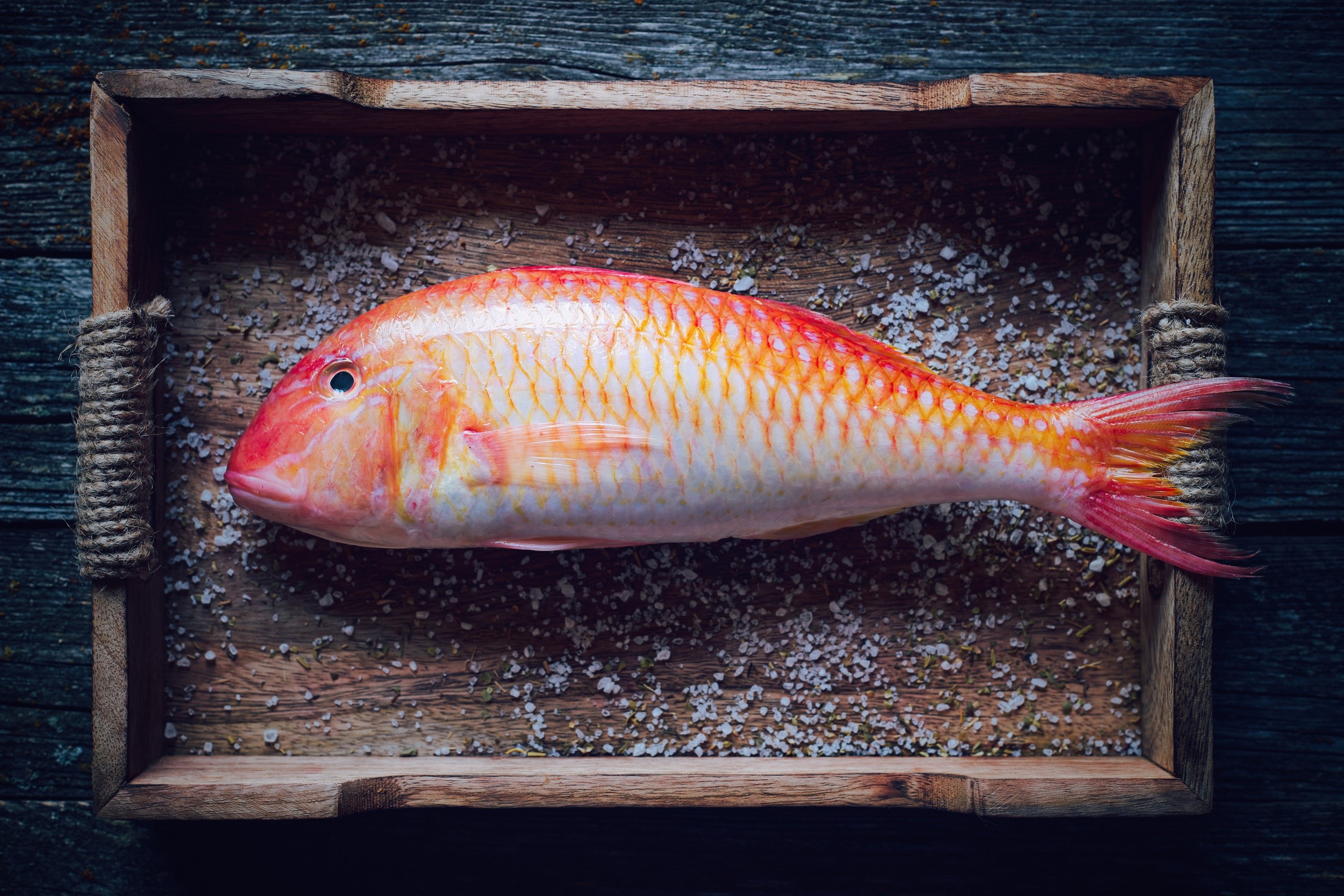 Red mullet fish on wooden tray with salt HD Wallpaper