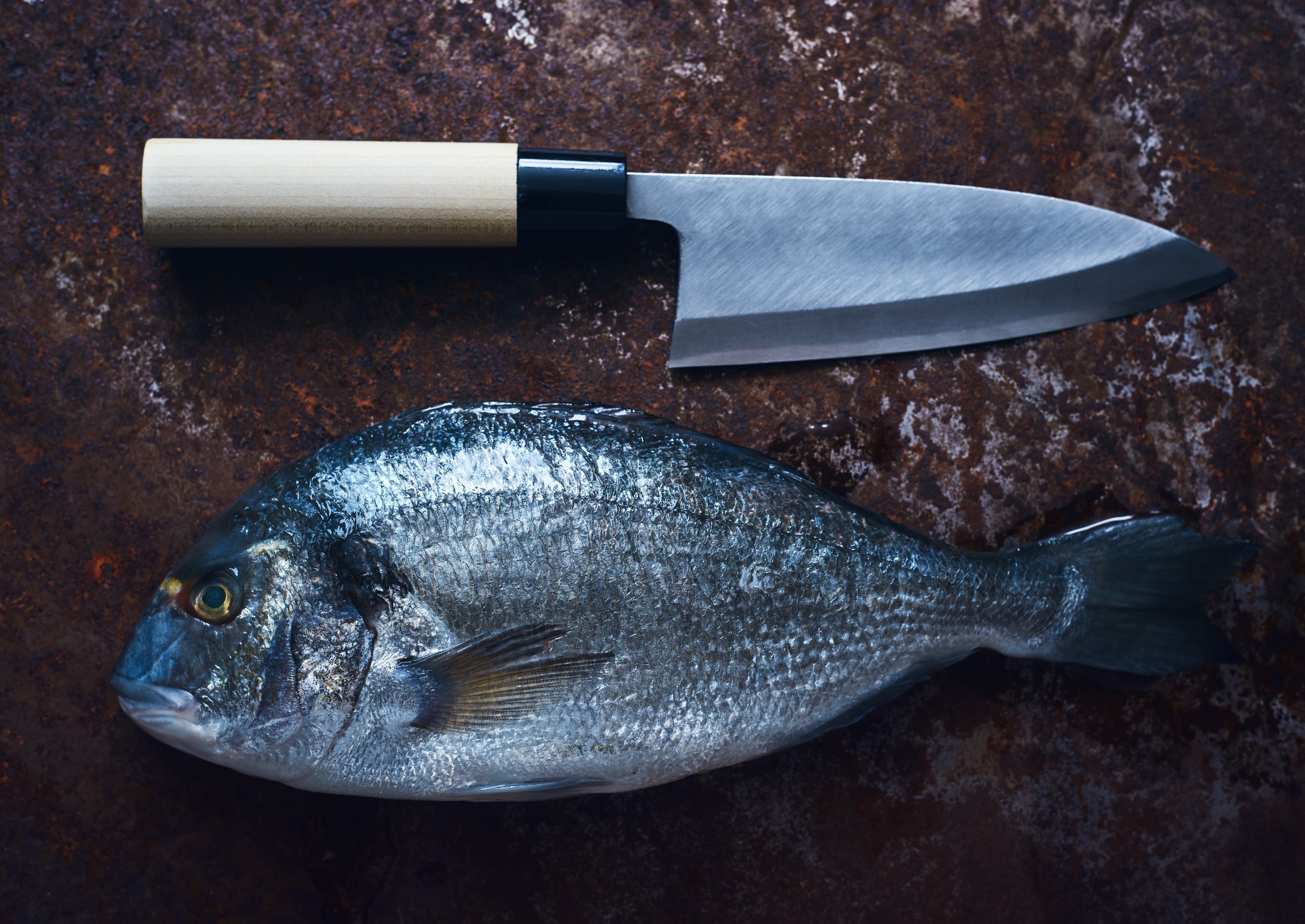 Whole fish and a knife on a rusty surface HD Wallpaper