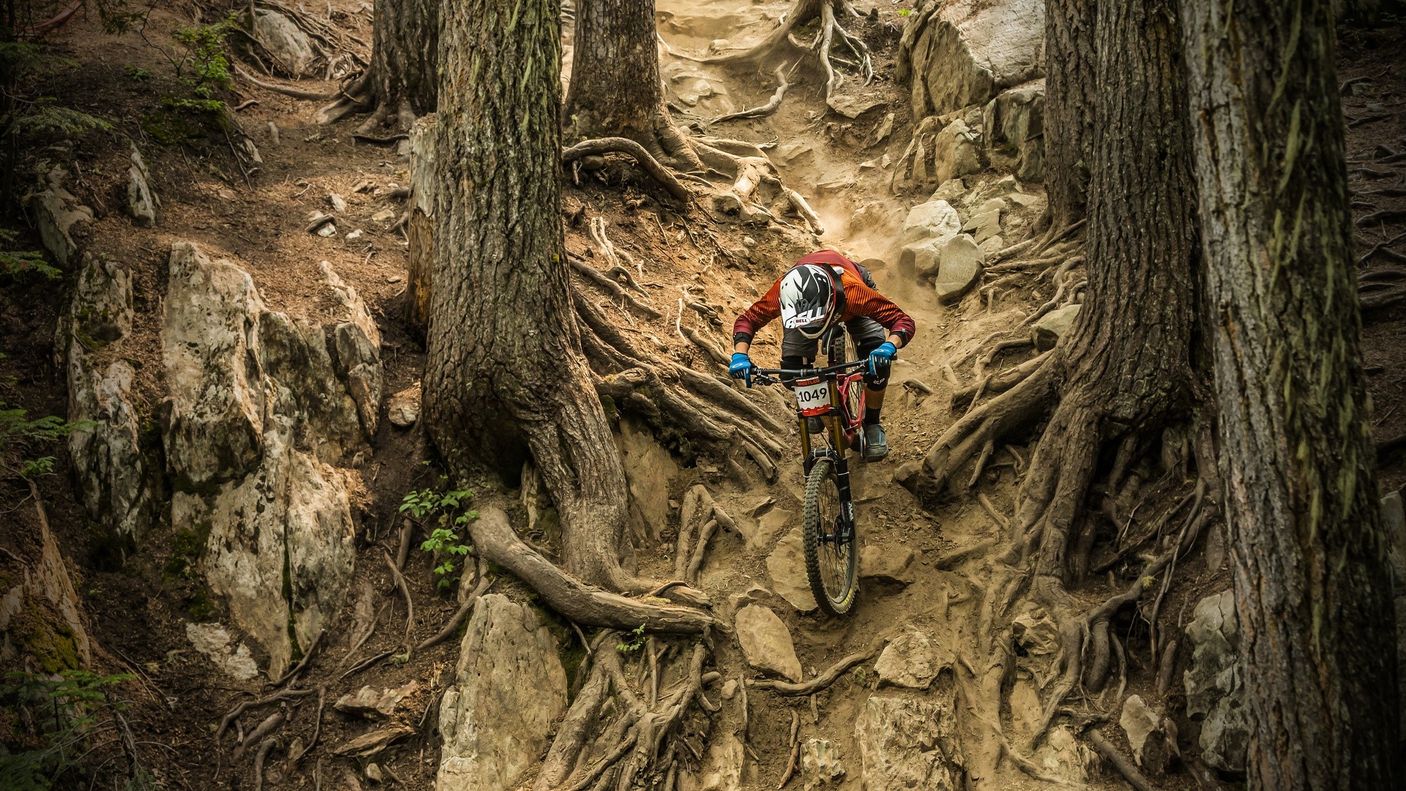 Mountain biker descending a rocky, root-filled trail HD Wallpaper
