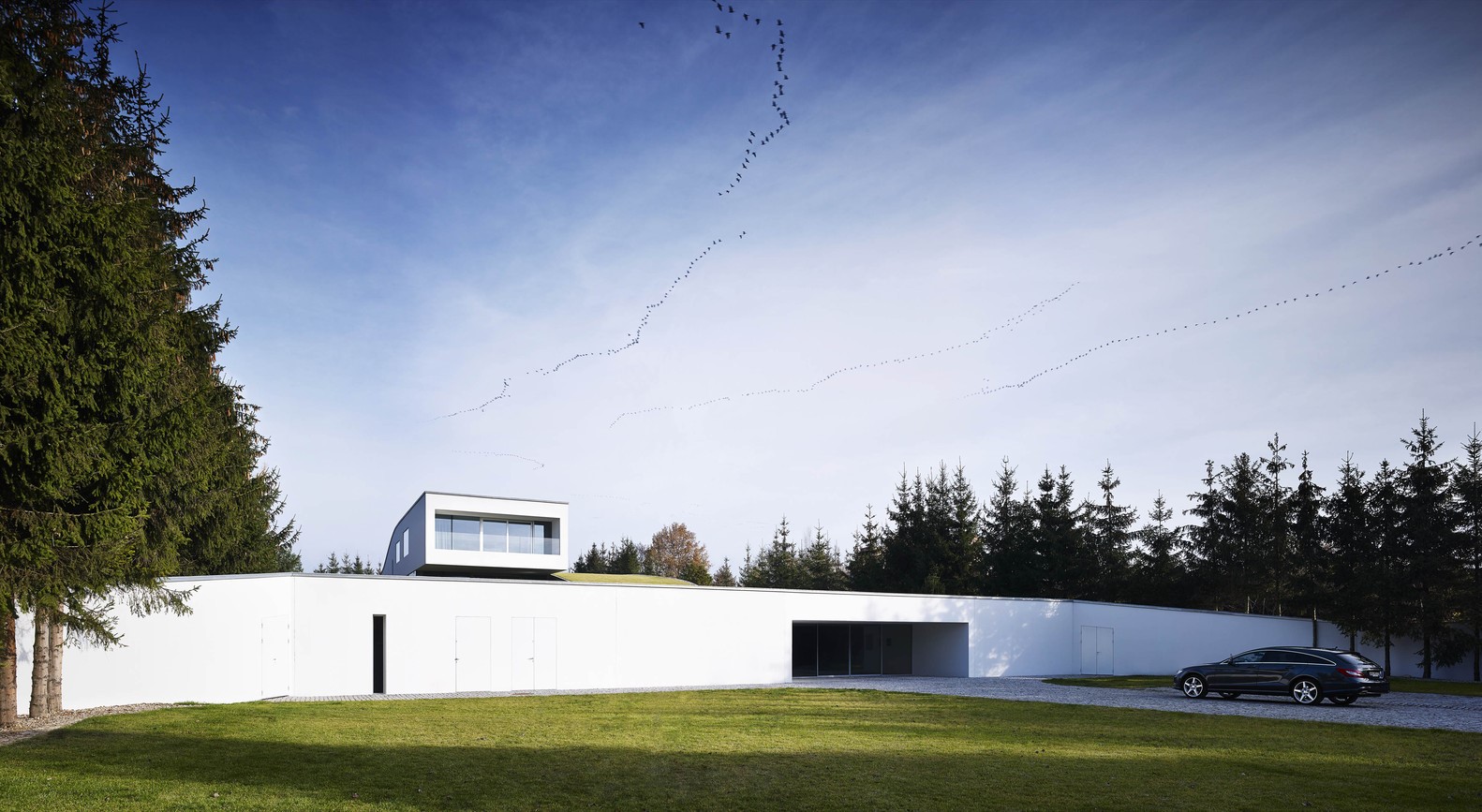 Modern white house with a car and birds flying HD Wallpaper