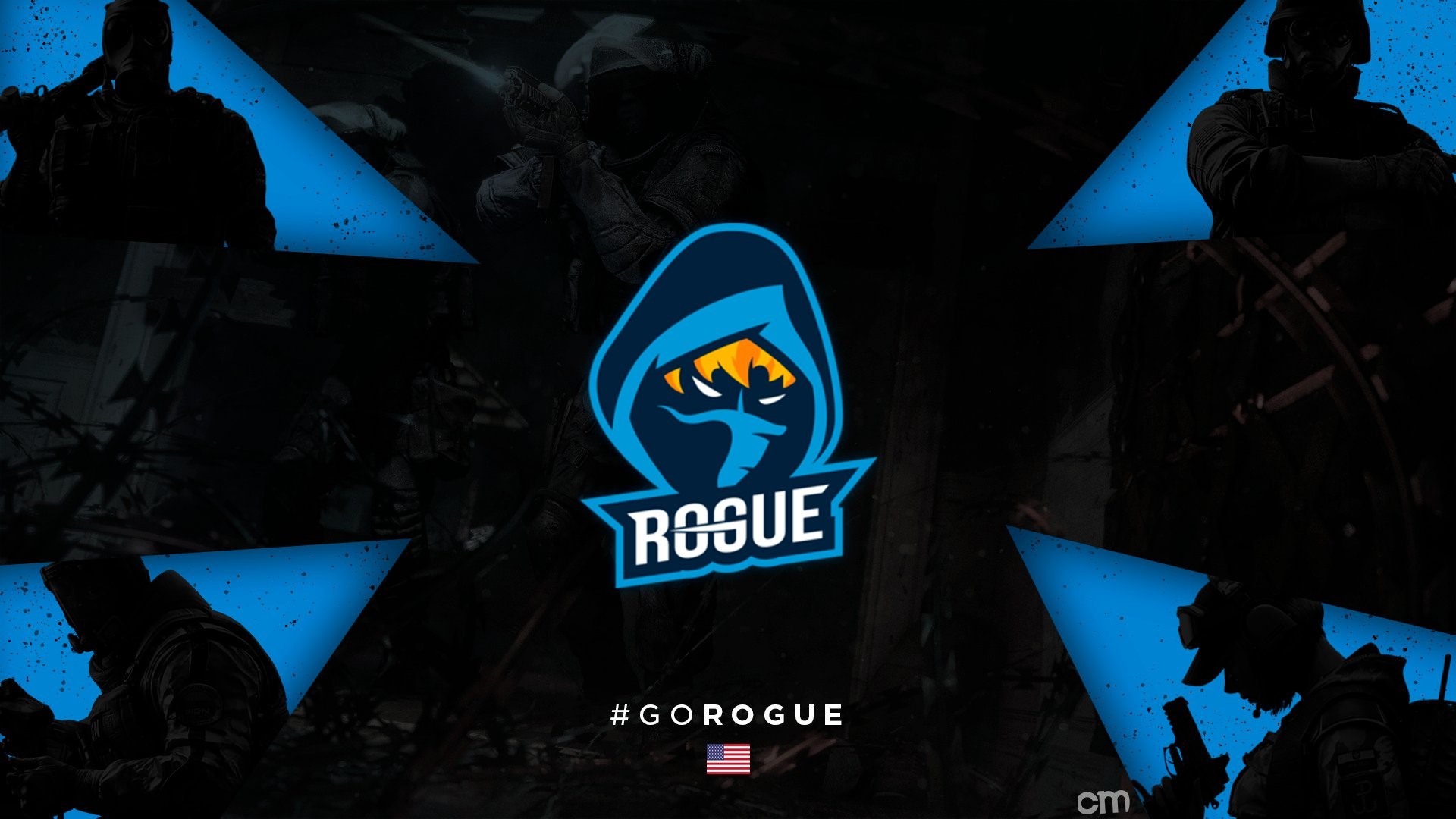 Rogue esports logo with soldiers HD Wallpaper