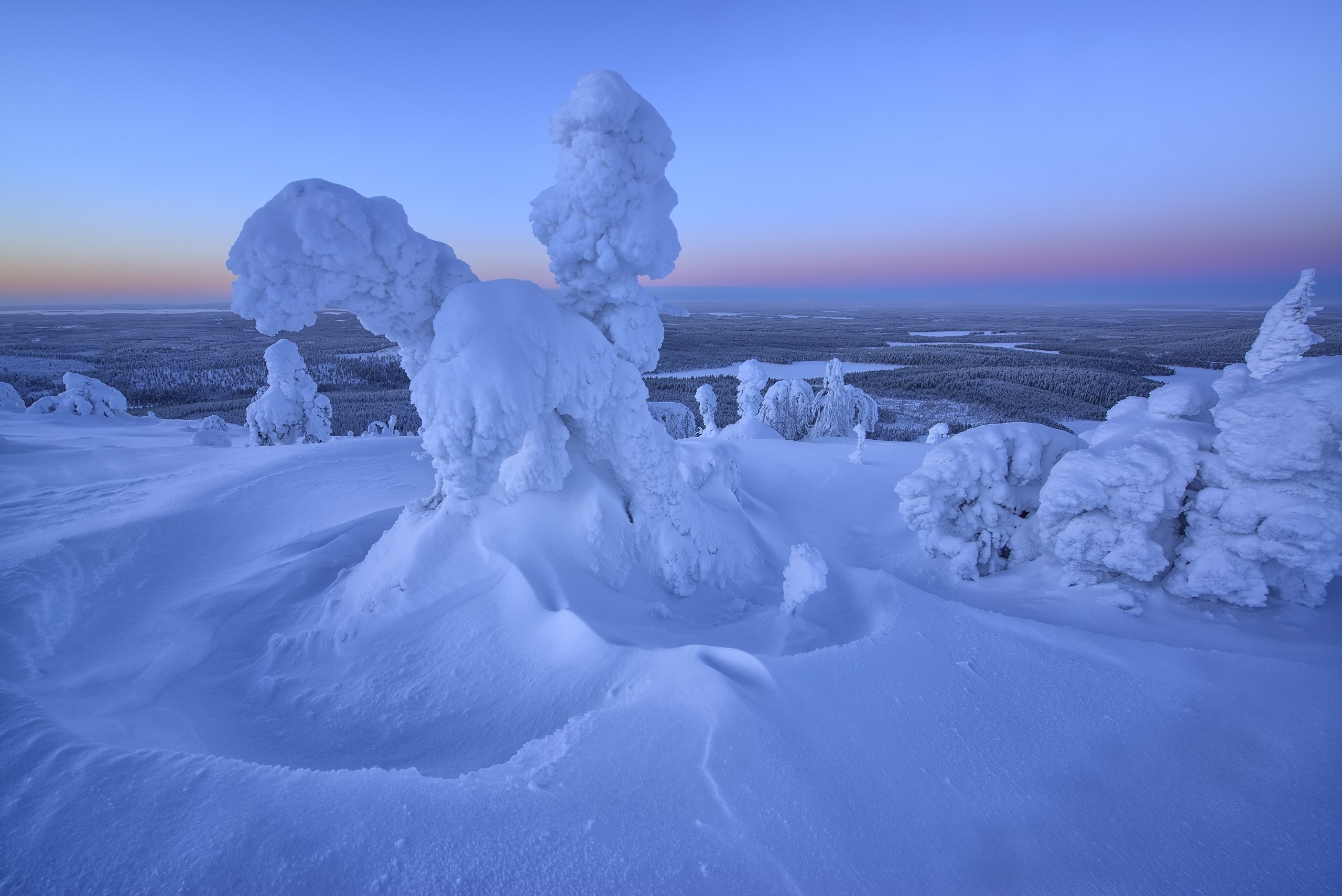 Snow-covered trees in a winter landscape at dawn HD Wallpaper