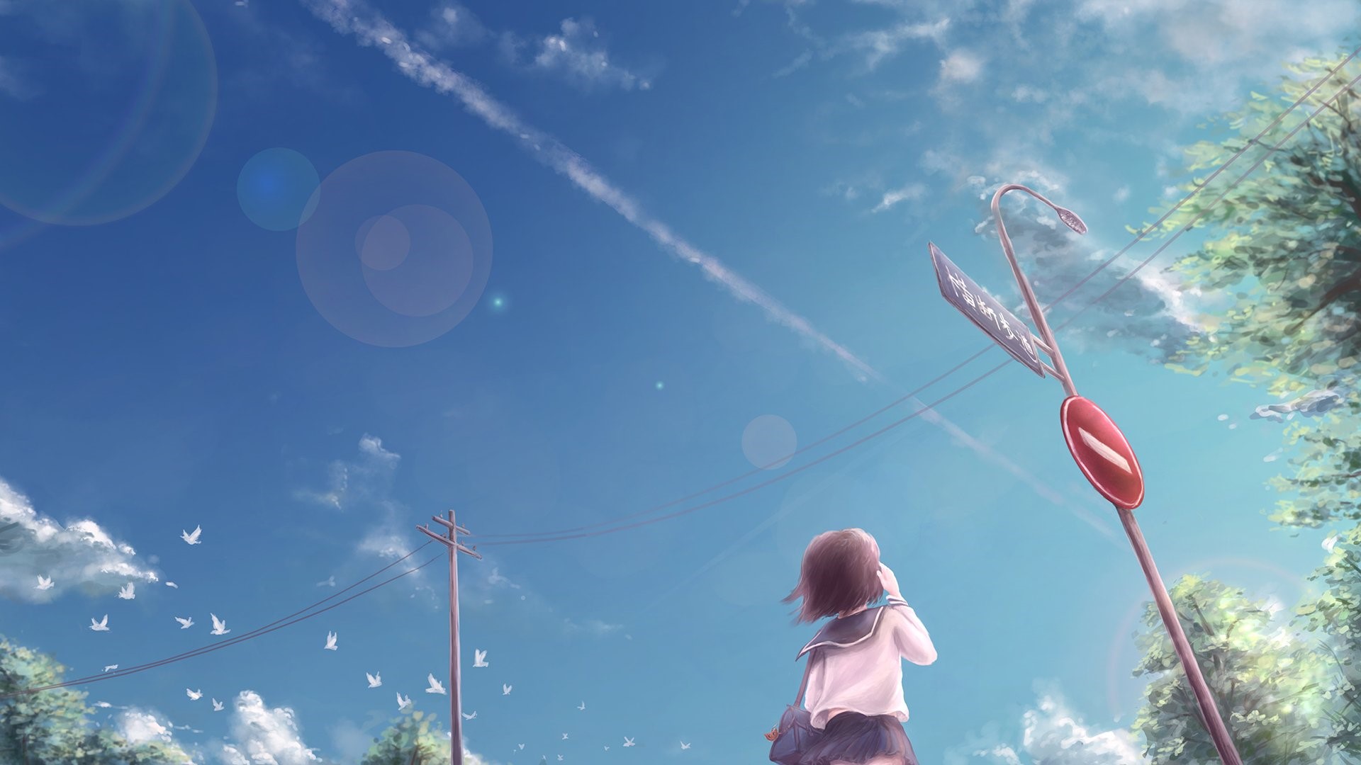 Anime girl looking at the sky with birds and clouds HD Wallpaper